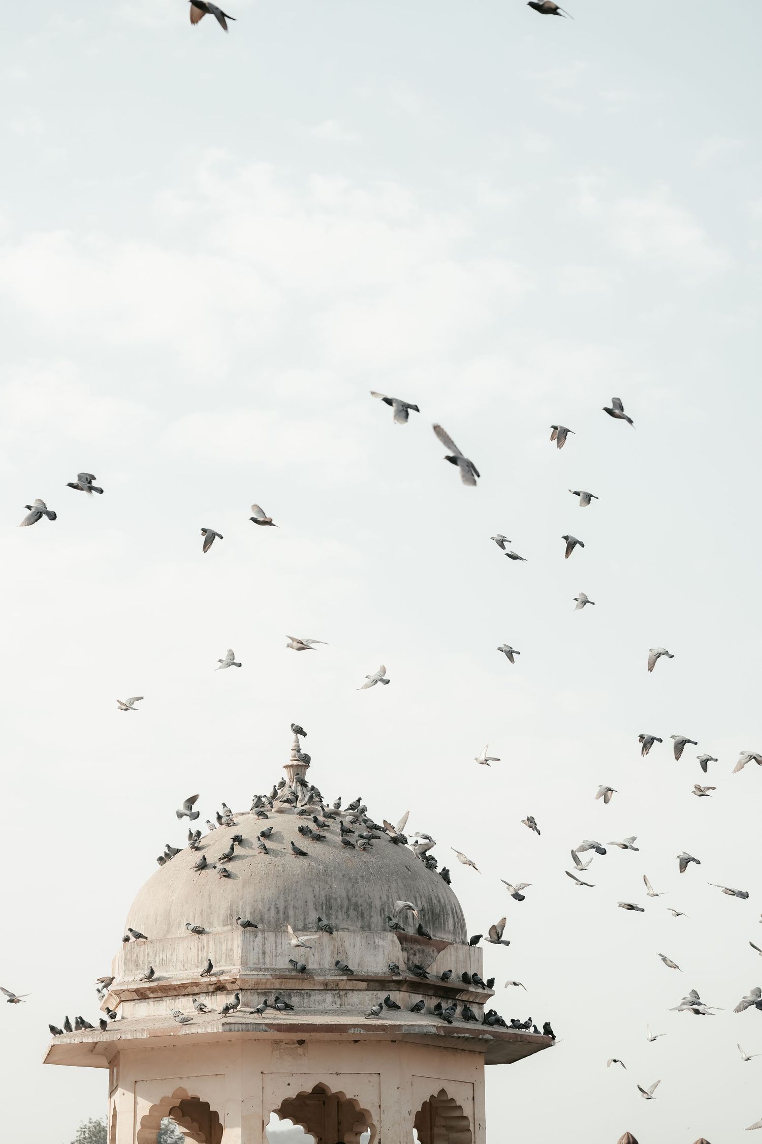 Couple portrait at Amber Fort Jaipur during sunrise pre wedding shoot