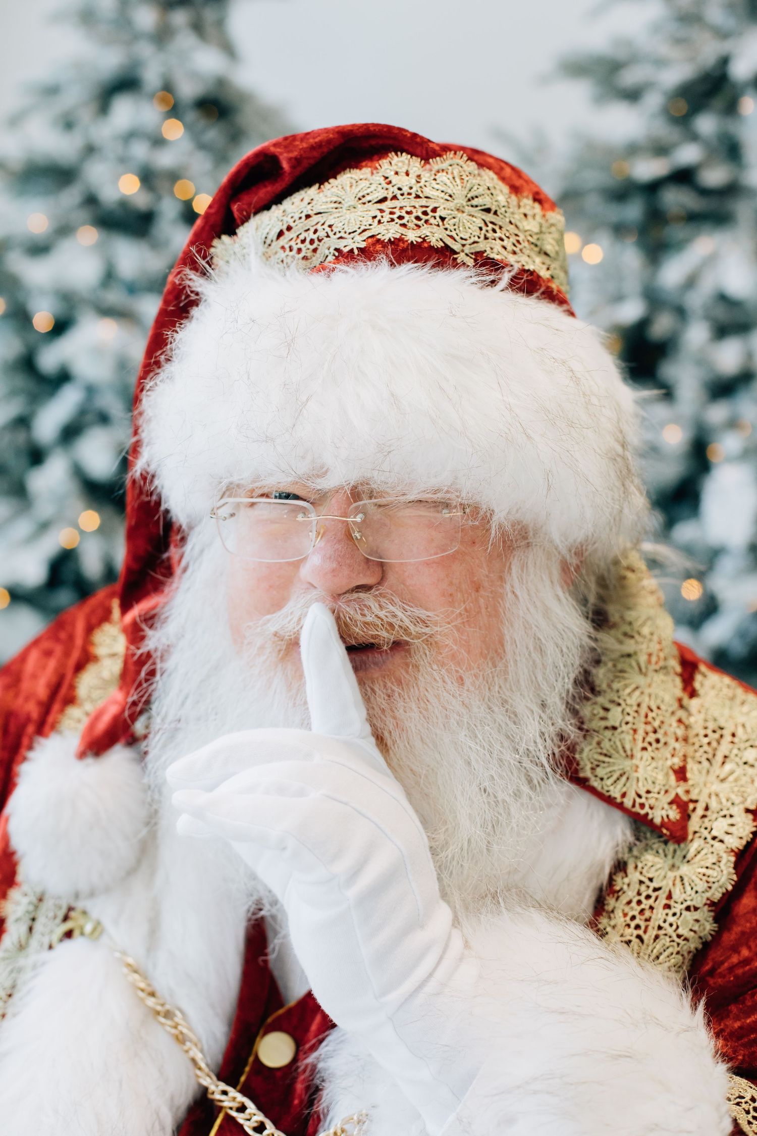 The Santa Experience in Milwaukee, WI 53046