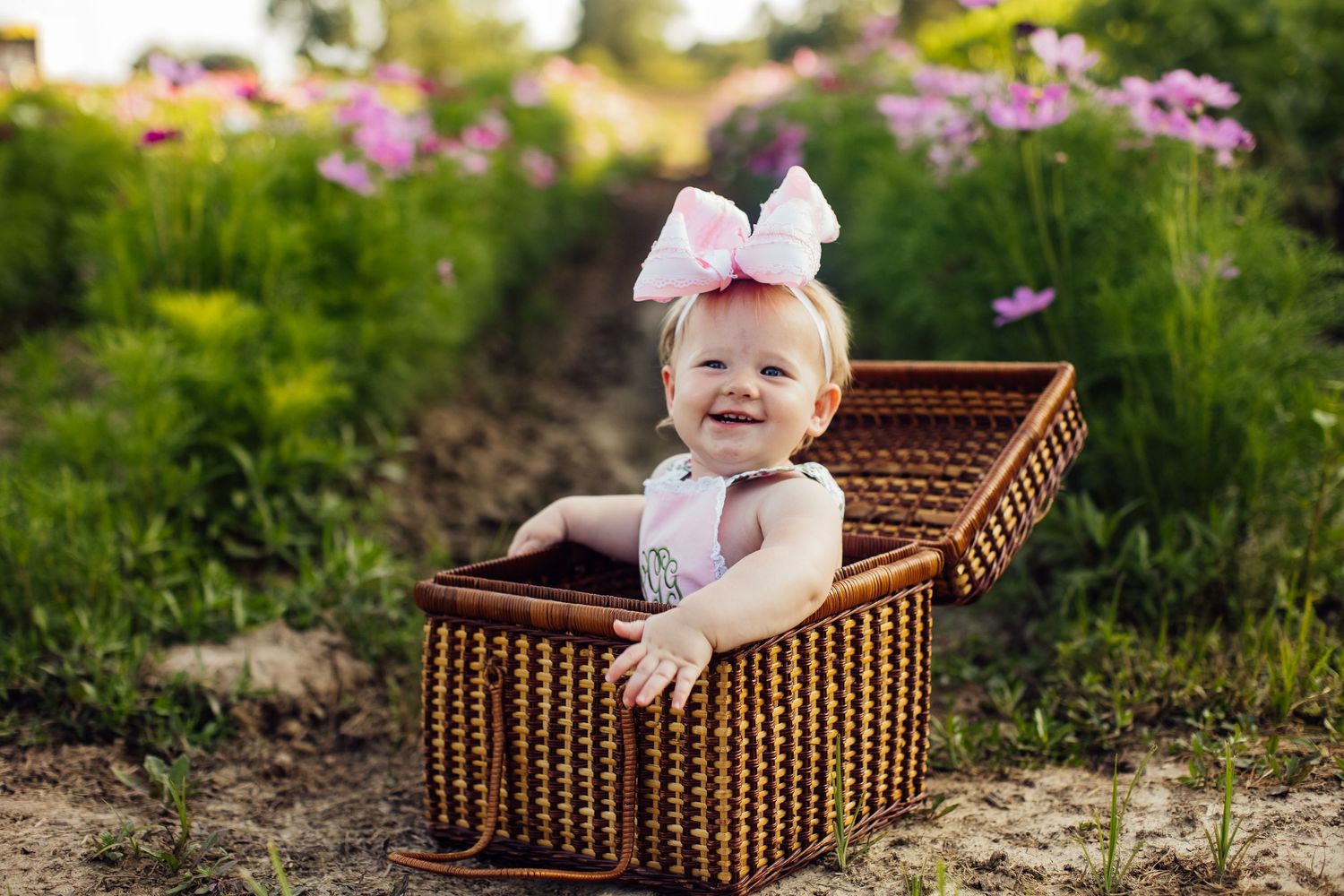A small child sits in a wicker picnic basket surrounded by pink wildflowers in a garden setting.