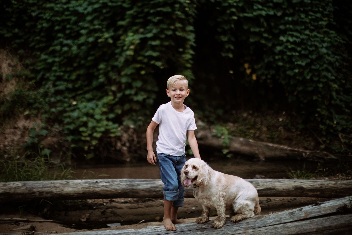 Person and golden retriever dog playing together in a wooded park area near a stream on a sunny day.