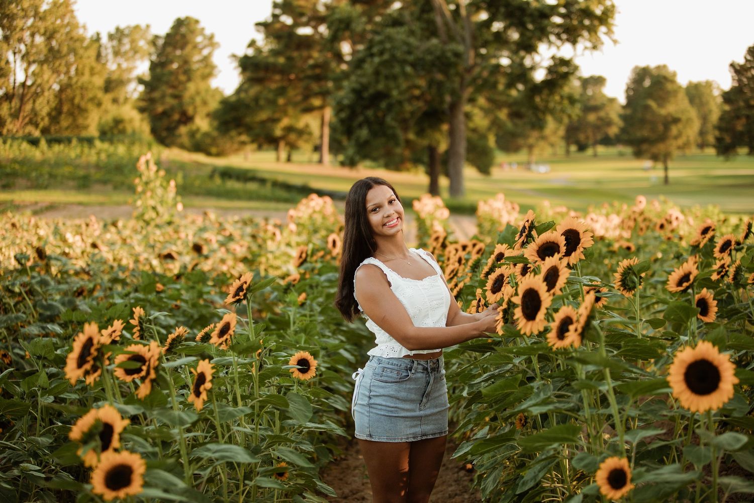 A golden sunset illuminates a field of vibrant sunflowers with someone walking among the tall blooming flowers.