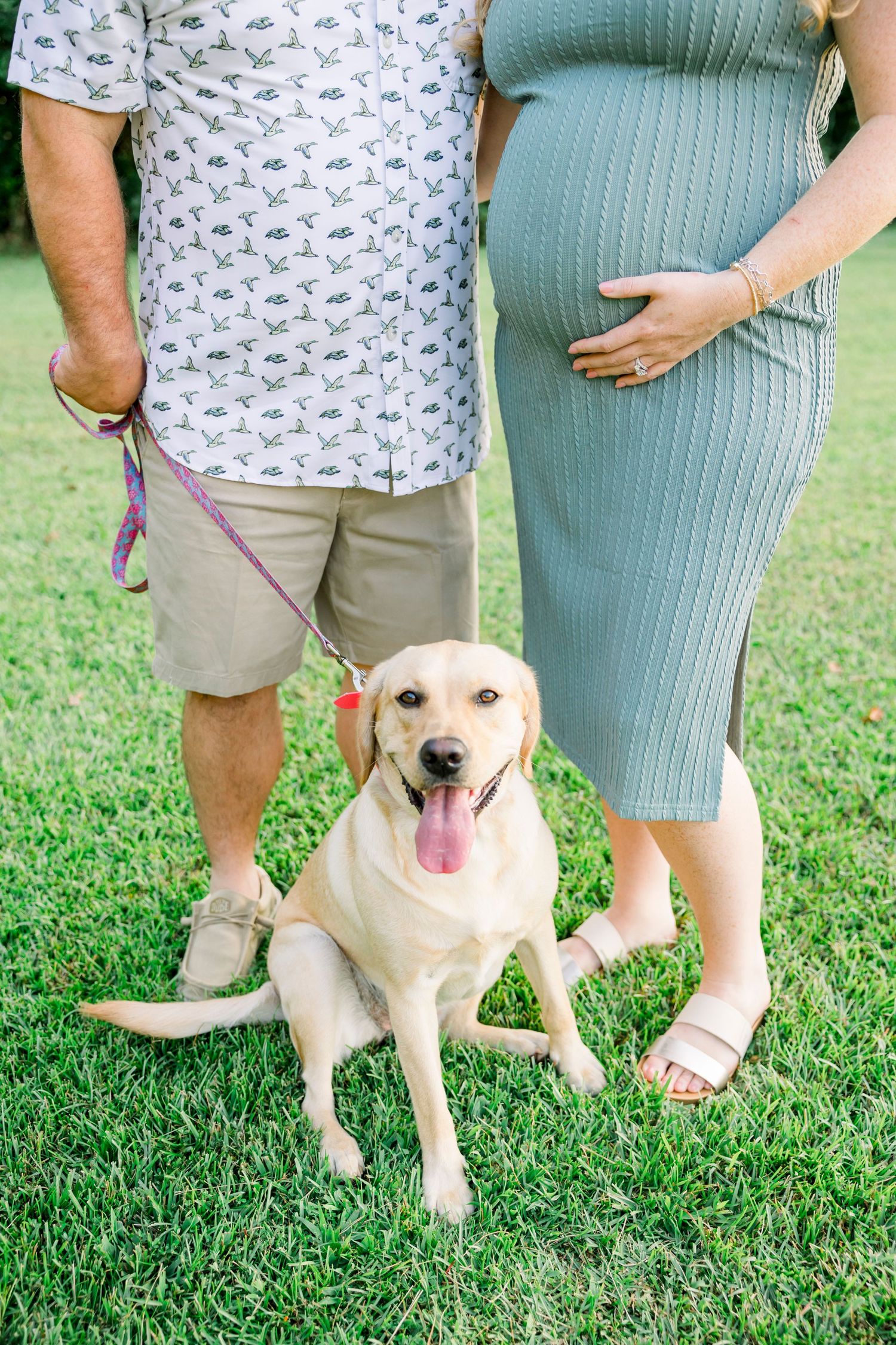 Light colored dog poses with couple showing ultrasound photos on grassy lawn.