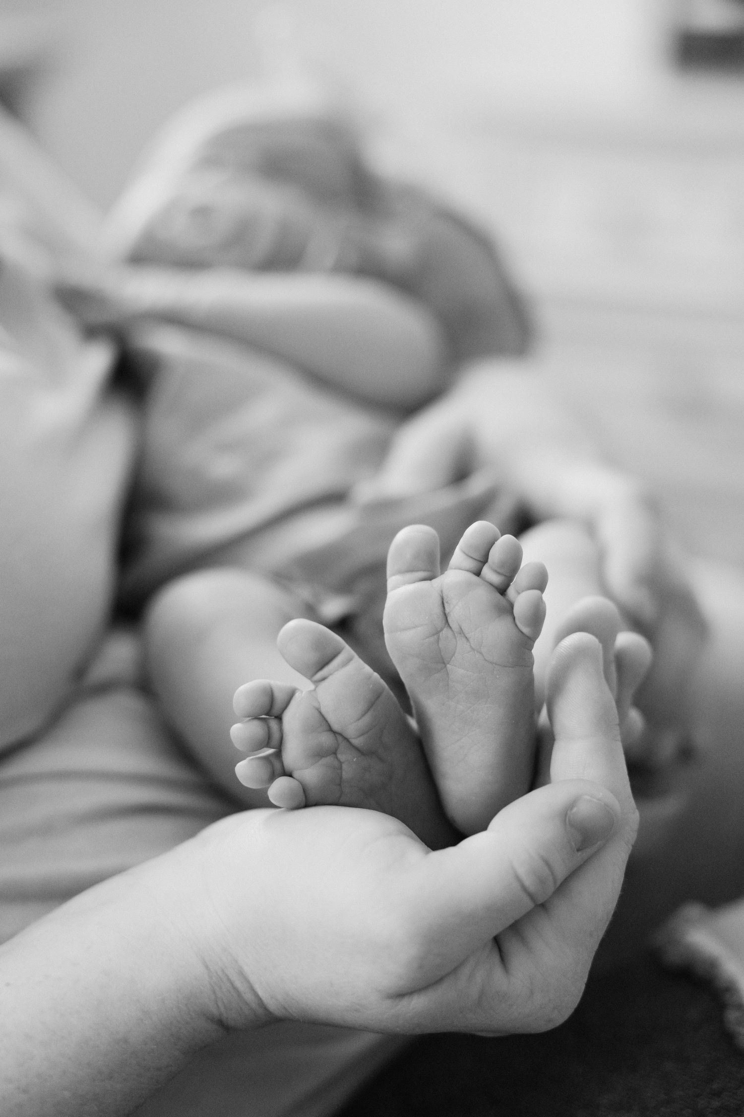 Close-up of tiny baby feet being held by gentle hands.