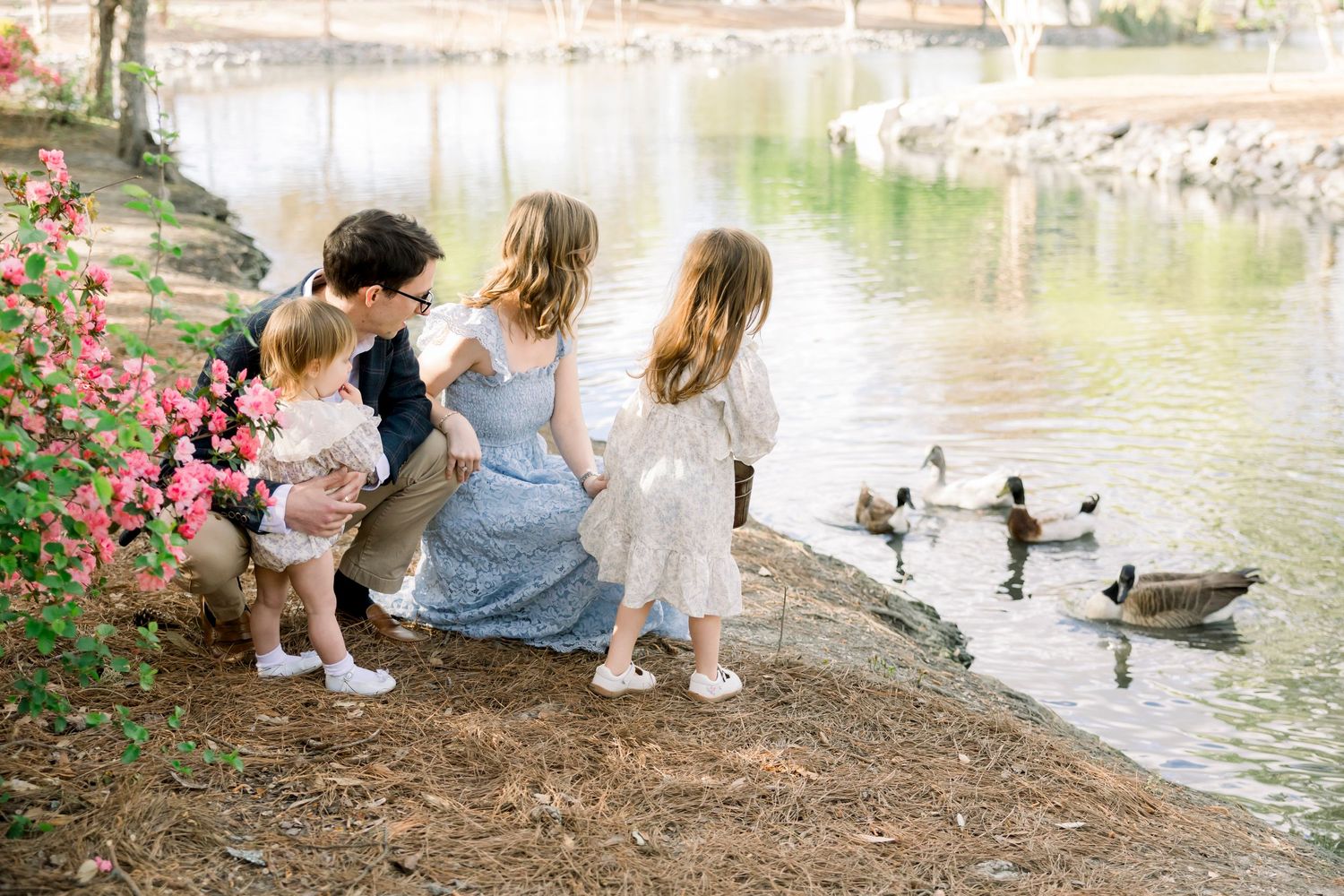 Family with young children feeding ducks by a pond near pink flowers in a park.