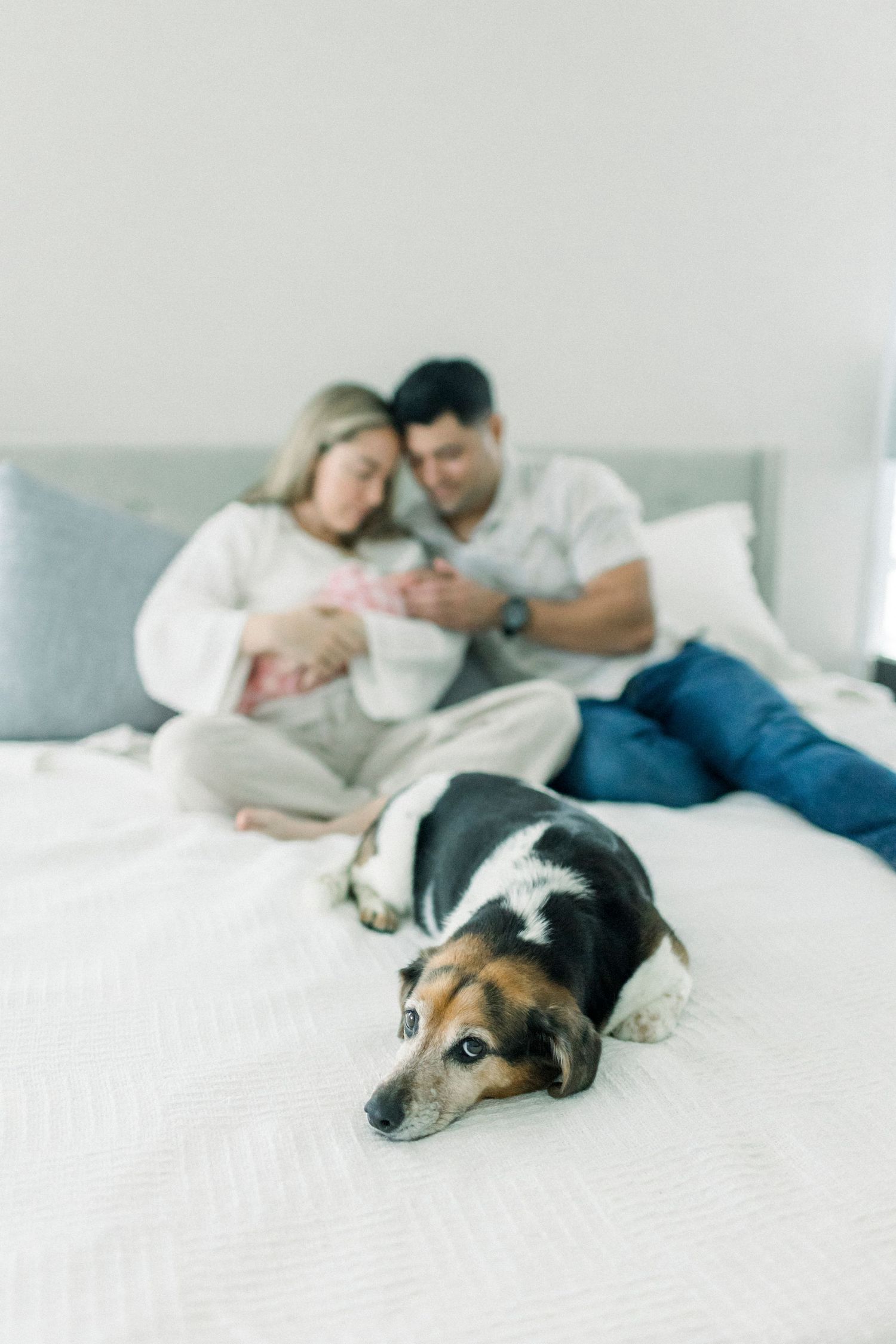 A dog rests on a white bed while people relax in the background.