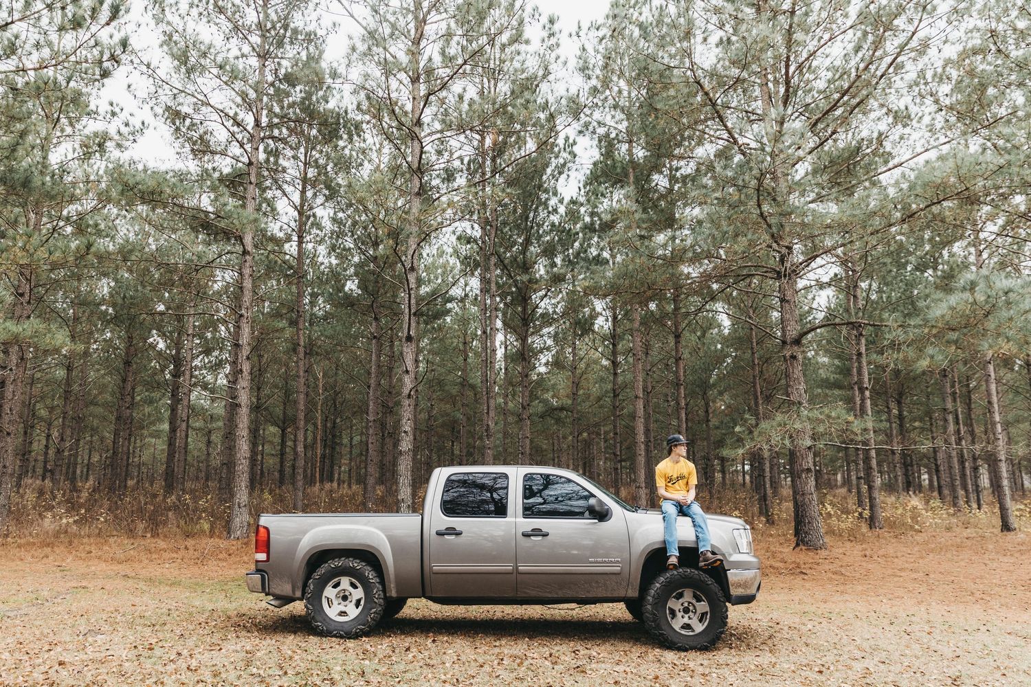 Gray pickup truck parked among tall pine trees in wooded area.