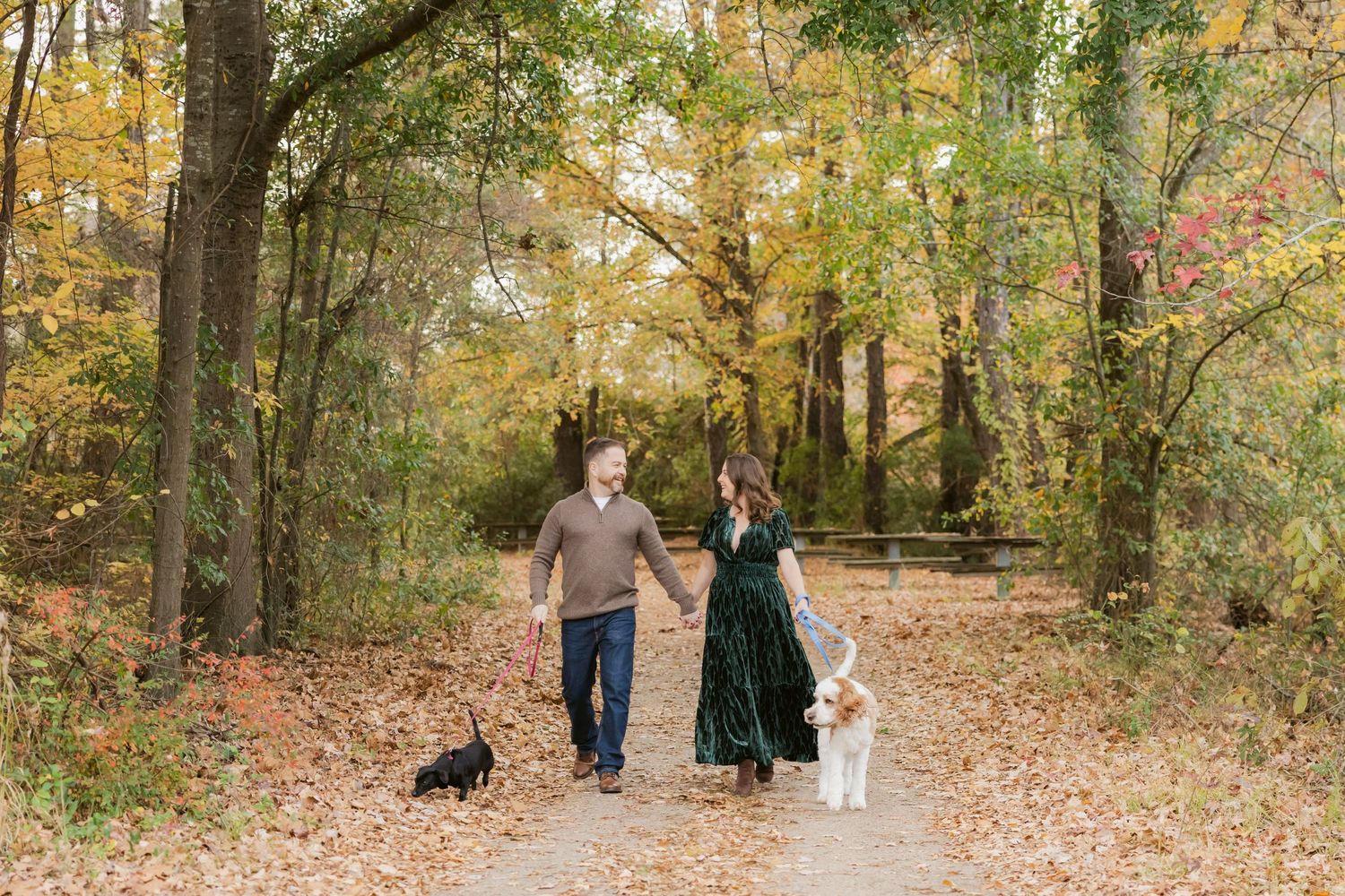 People walk along a leaf-covered autumn trail with their dogs.