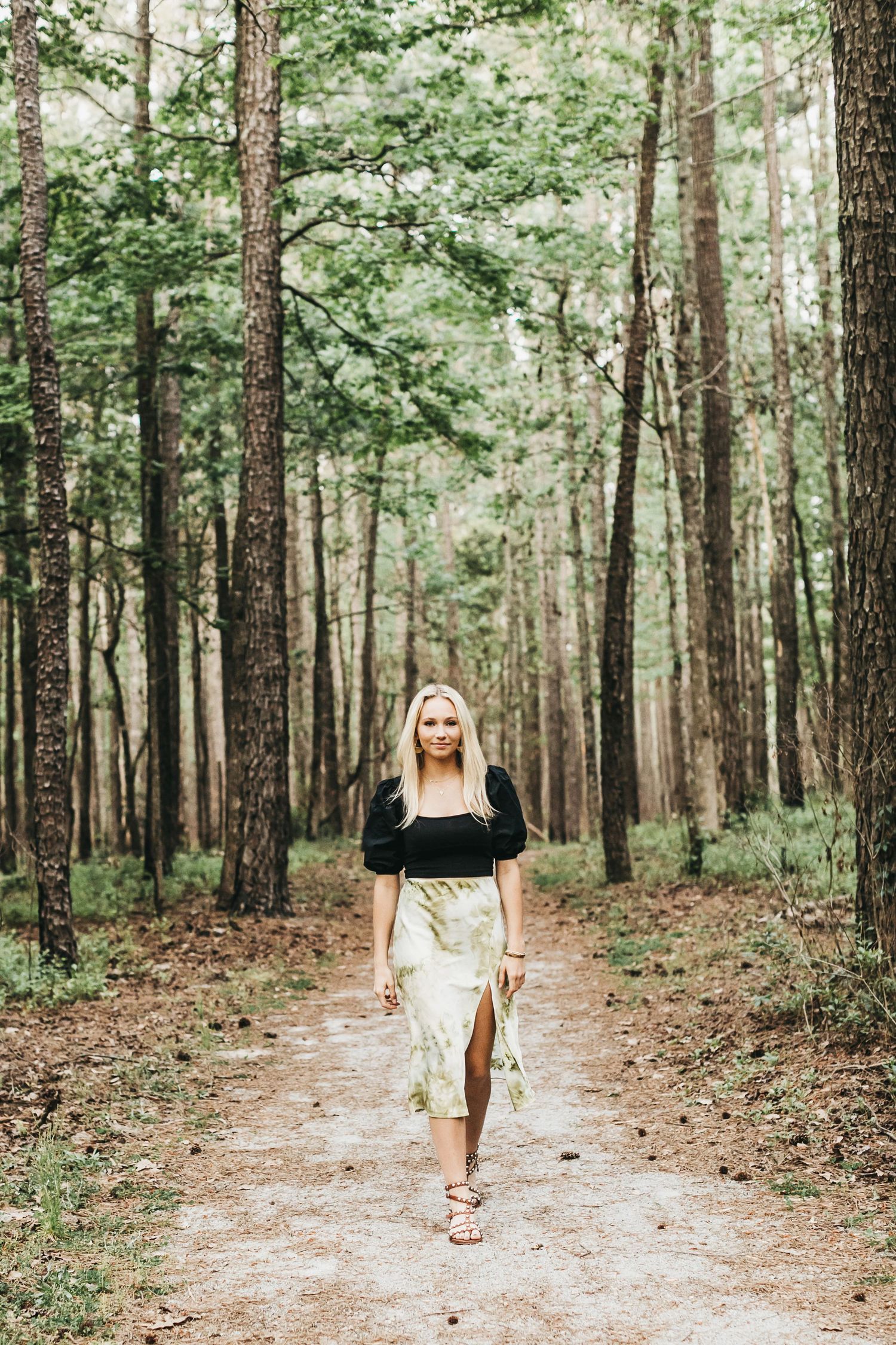 Path winding through serene pine forest with dappled sunlight filtering through trees.