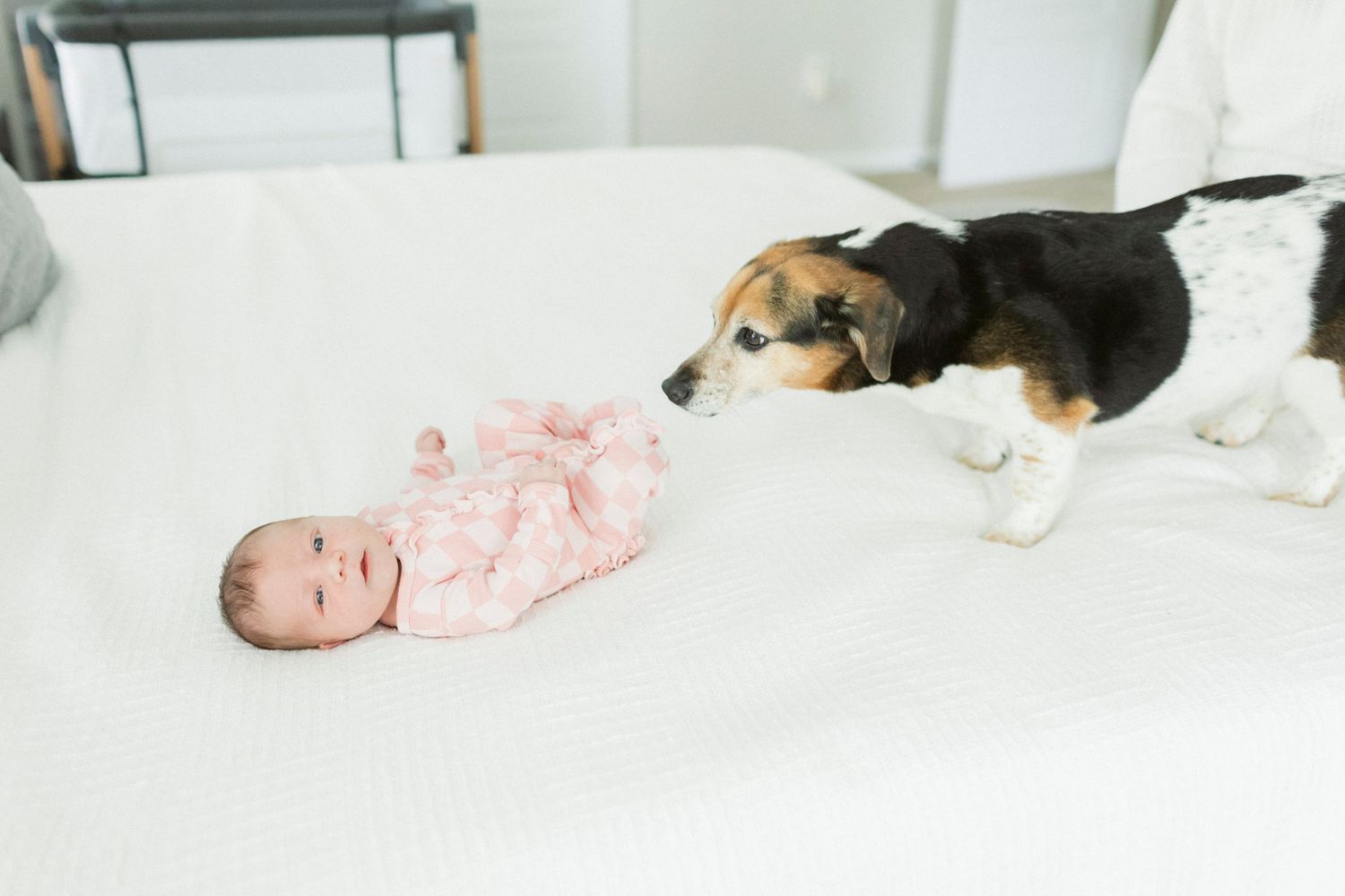 Baby in pink outfit lies on white bed while dog watches curiously nearby.