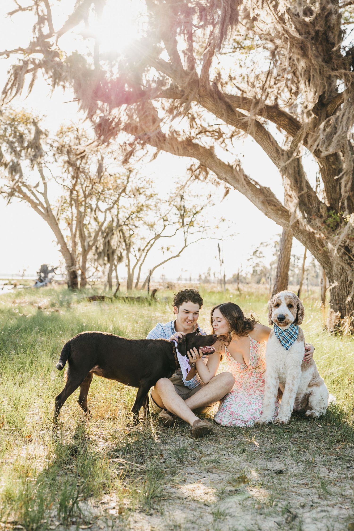 A couple relaxes with their dogs under sunlit oak trees draped with Spanish moss.