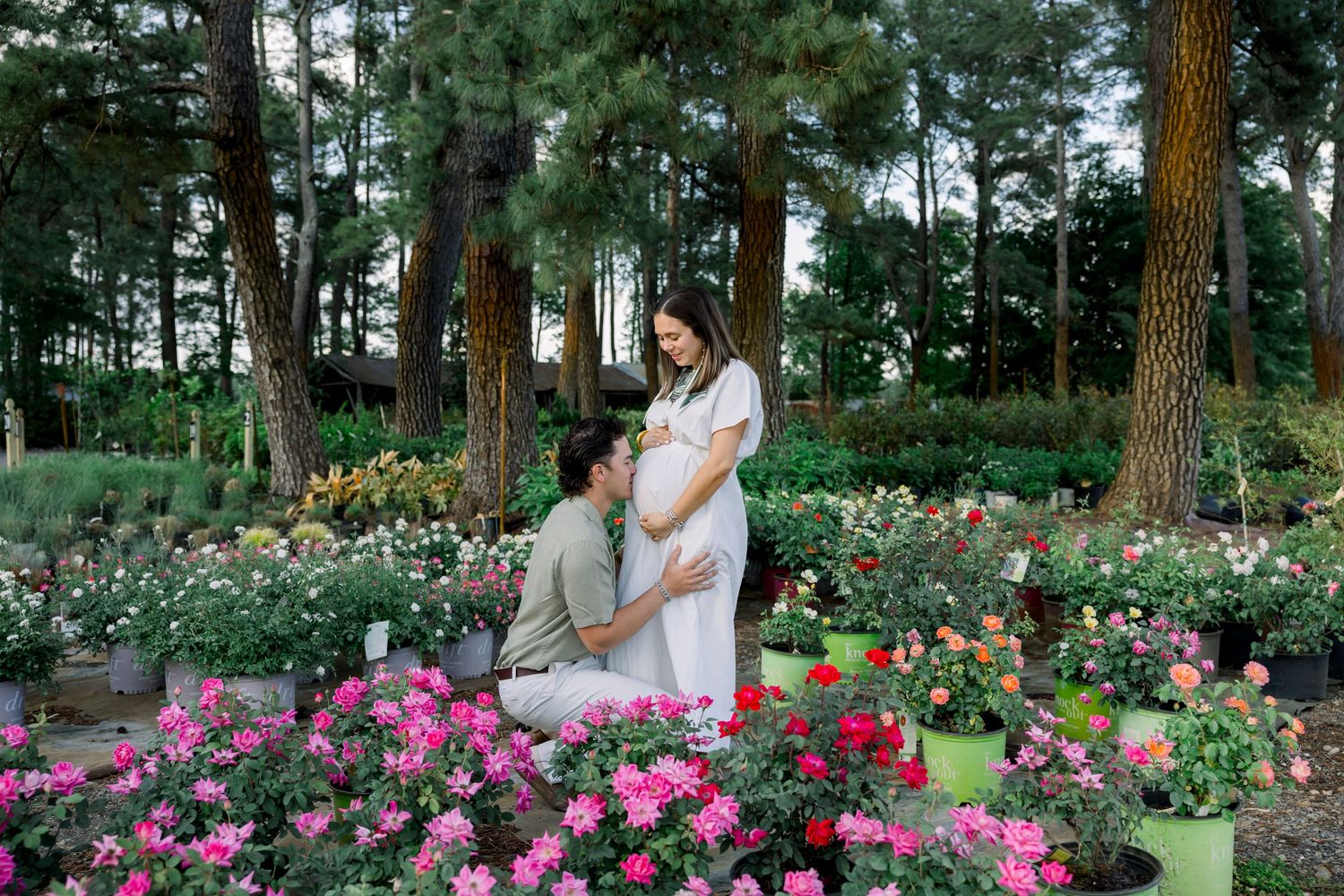 Couple in a flower garden, pregnant woman in white dress with partner kneeling among colorful roses and pine trees.