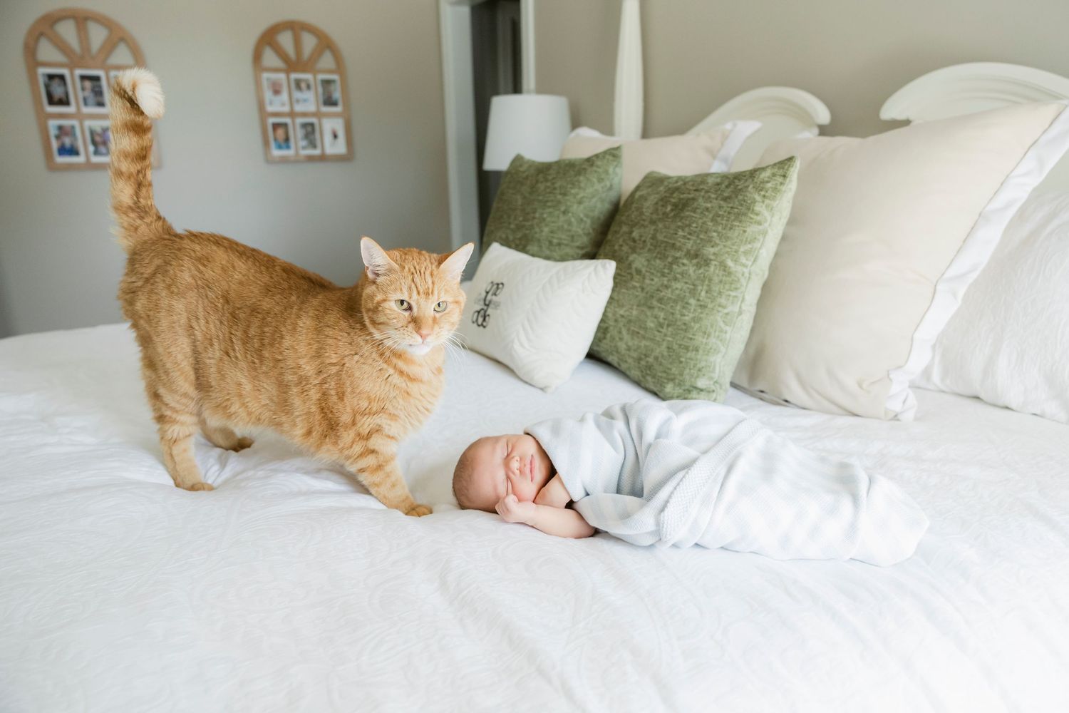 An orange tabby cat sits on a white bed next to a sleeping baby.