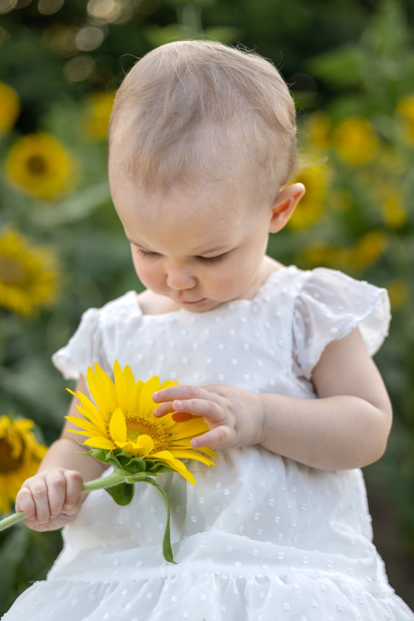 Sunflower Field Mini session family photographer Cleveland, MS Mississippi Delta Sunset photography
