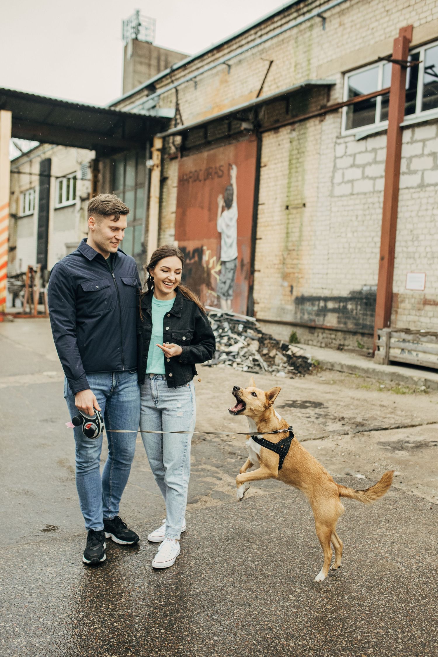 Couple walking with playful brown dog on urban street.