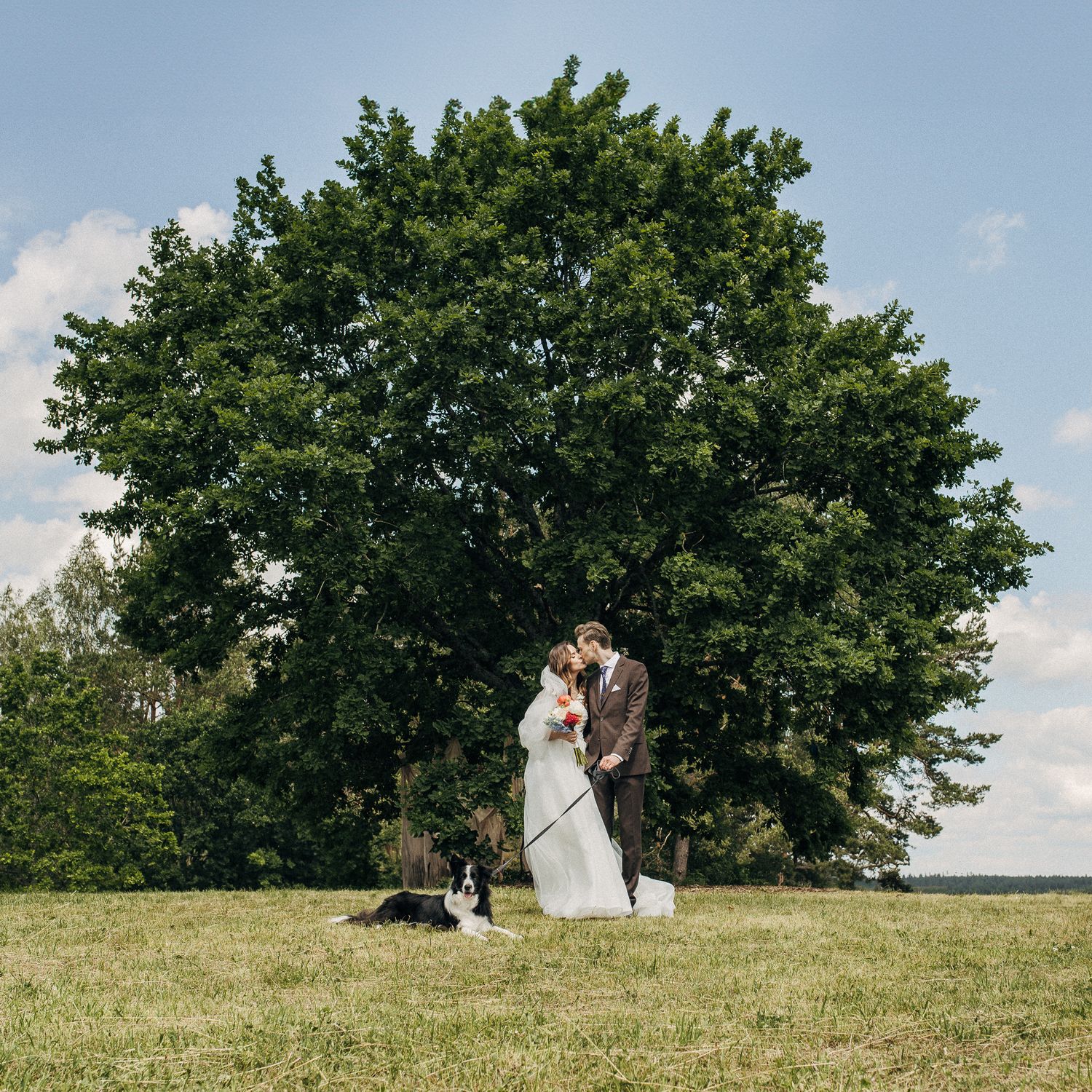 Wedding couple poses with dog under large tree in sunny meadow.