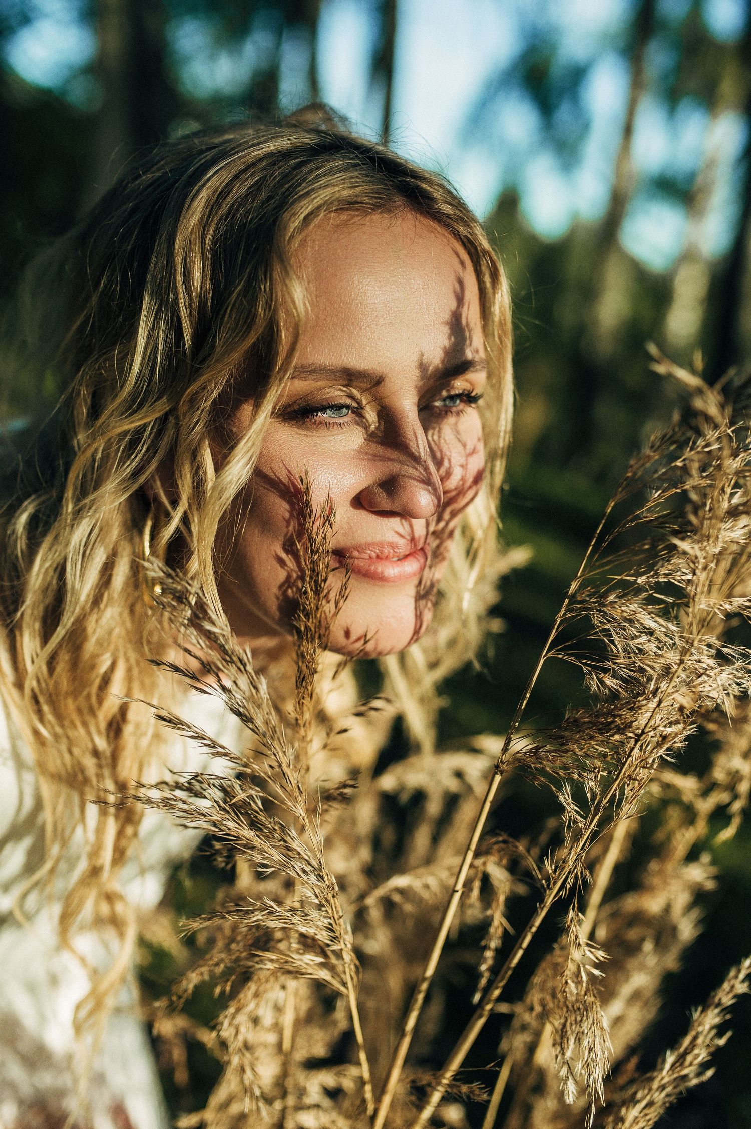 A golden sunset illuminates tall grass and creates a dreamy natural portrait in a forest setting.