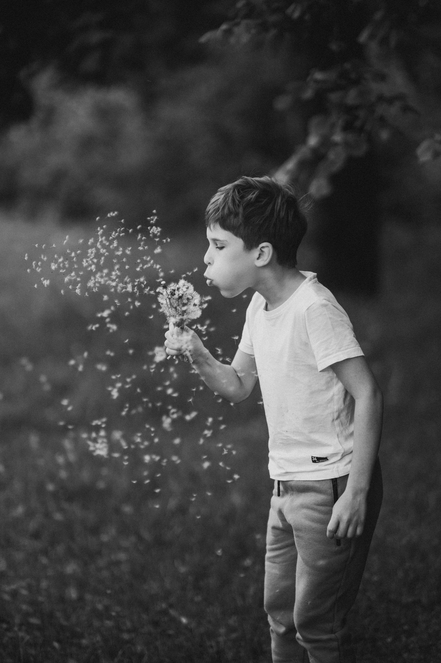 Black and white sequence of child blowing dandelion seeds in nature.