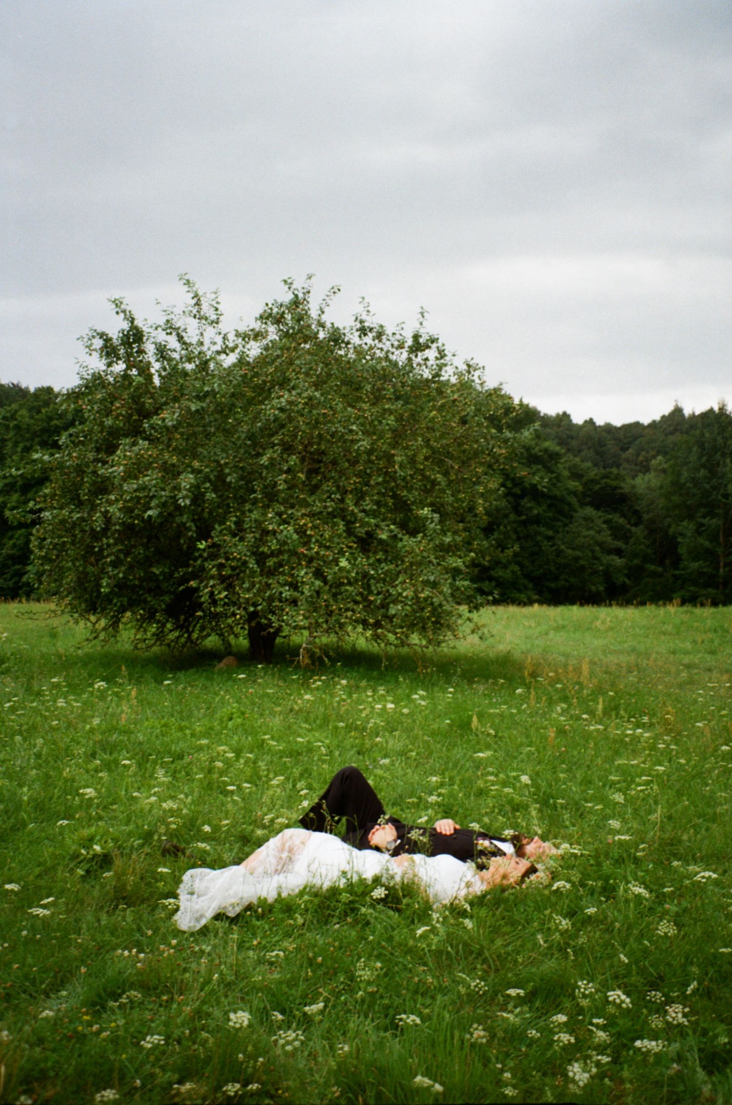A bride and groom lying in a lush green meadow beside a large tree on a cloudy day.