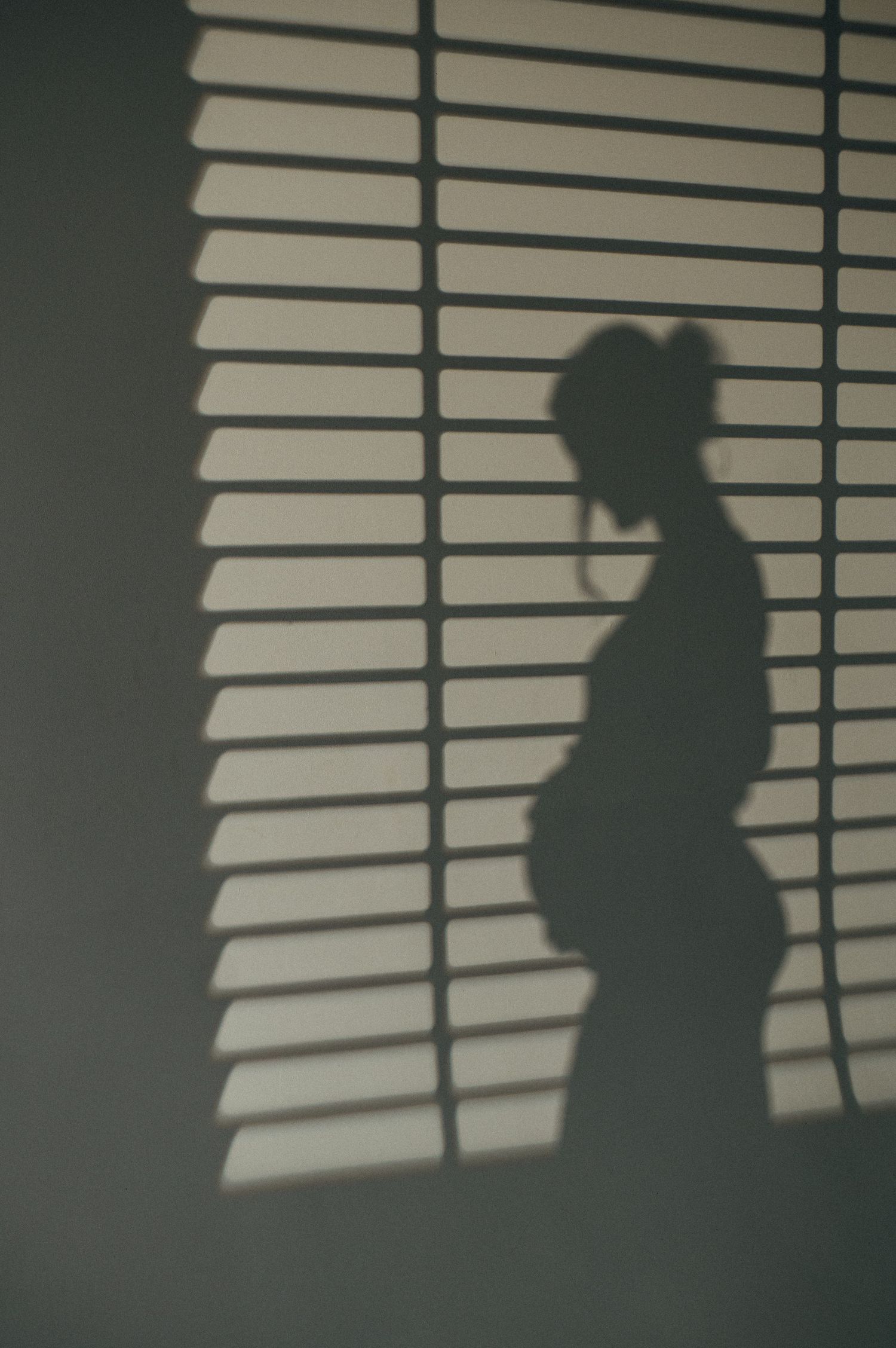 Shadow patterns from window blinds creating dramatic lines and shapes.