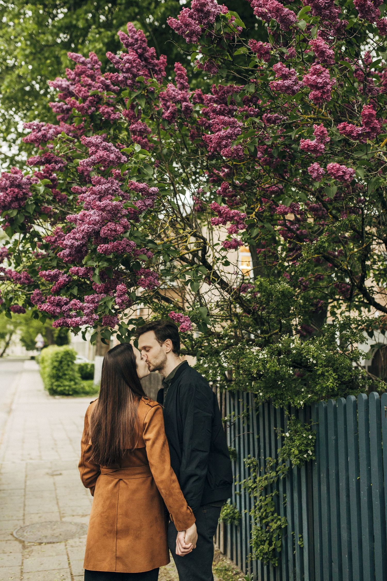 Couple sharing romantic moment under blooming pink cherry blossom tree.
