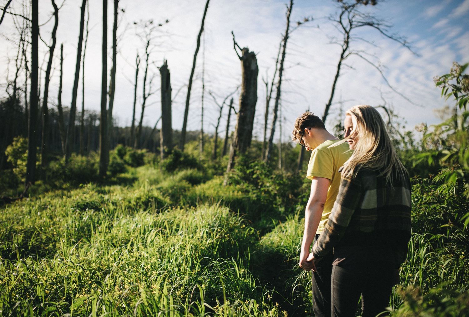 Beautiful forest hiking trail with tall trees and green vegetation.