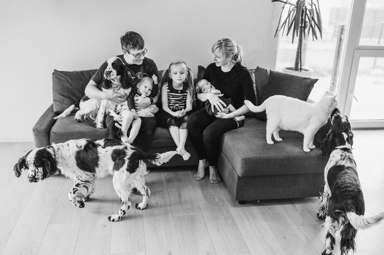 Family and pets relaxing together on gray couch in living room.