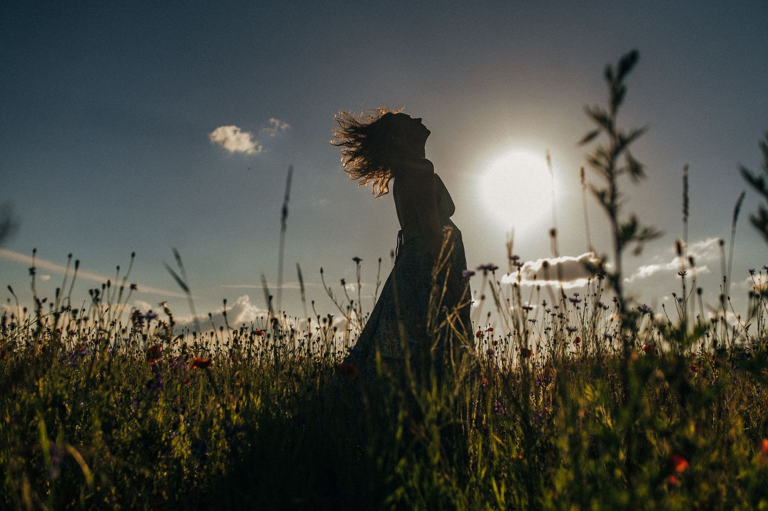 Silhouetted figure stands among tall grass and flowers at sunset creating a dramatic backlit scene.