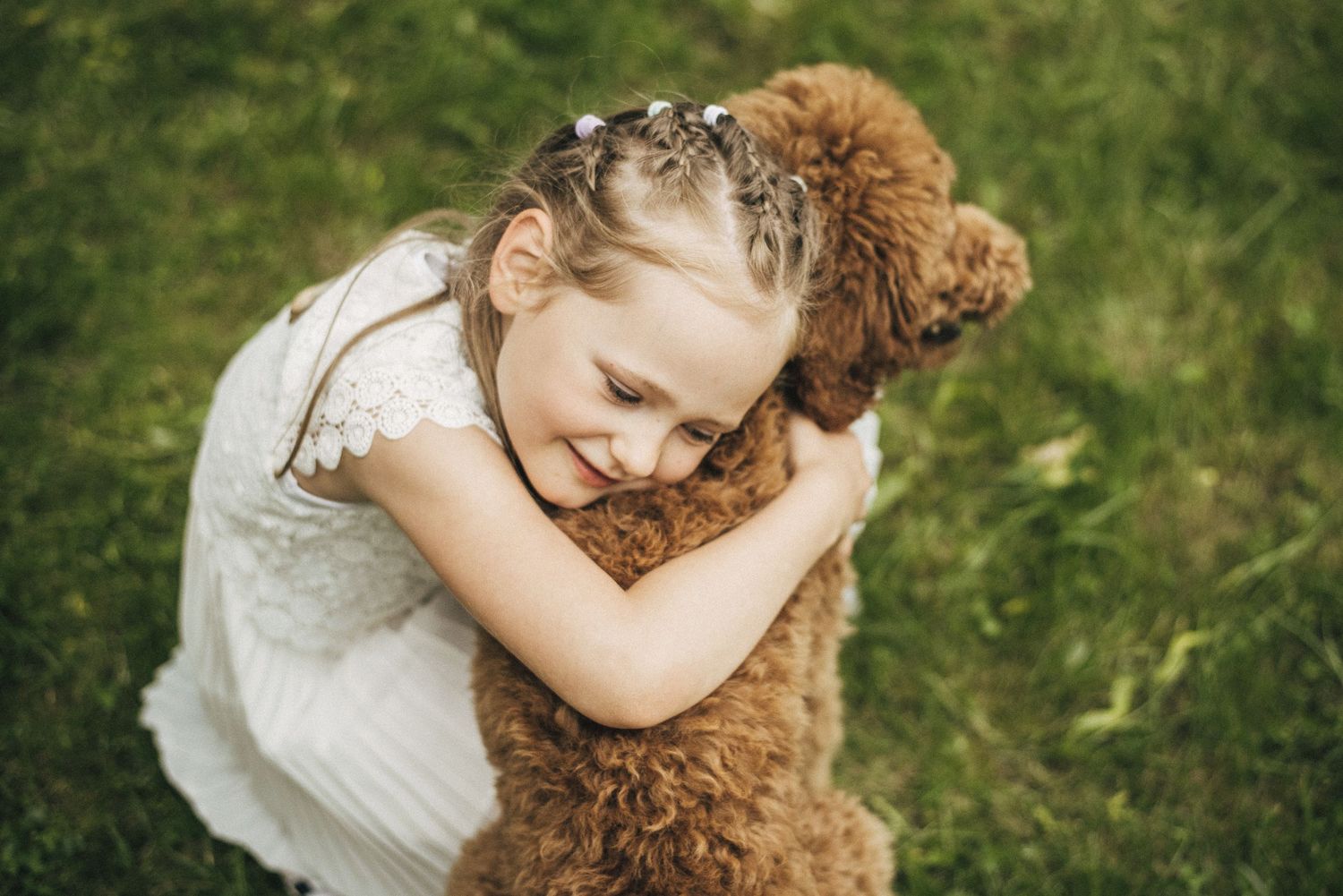 Young girl in white dress hugging a fluffy golden doodle dog on green grass.