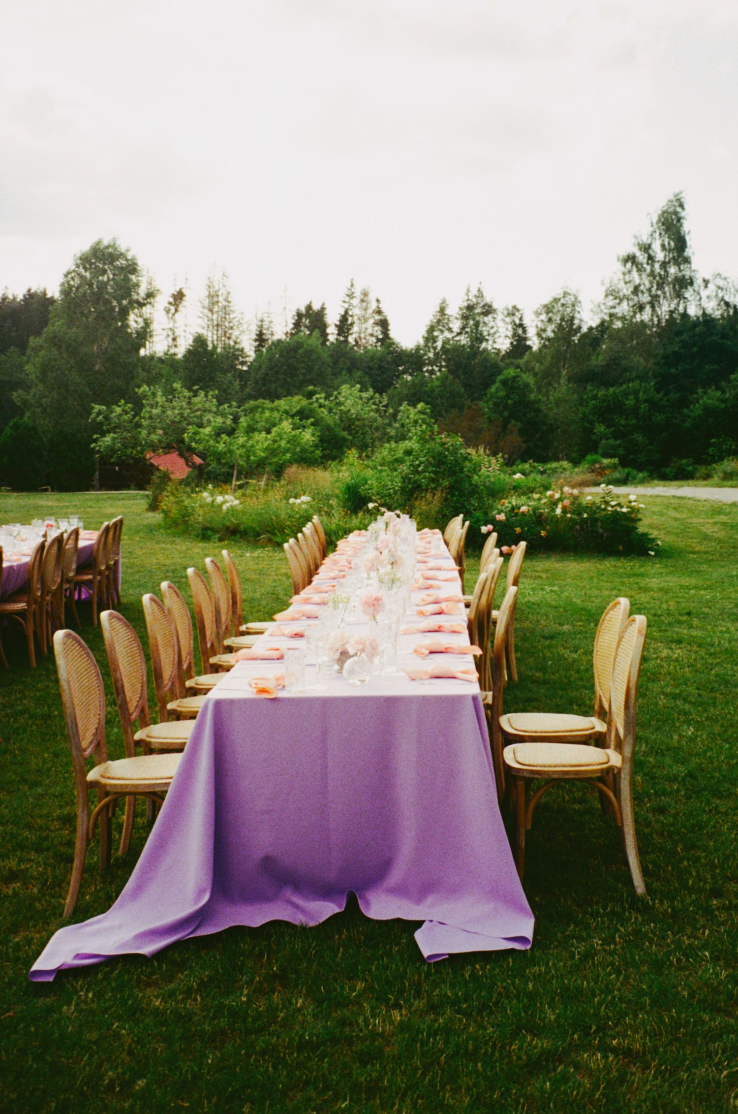 Elegant outdoor wedding reception with long table, purple tablecloth, wooden chairs, and lush green garden backdrop.