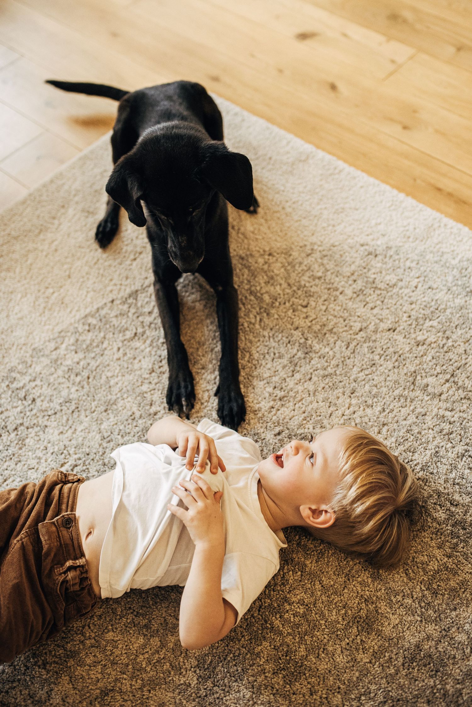 Young child laying on carpet with black dog nearby in home setting.
