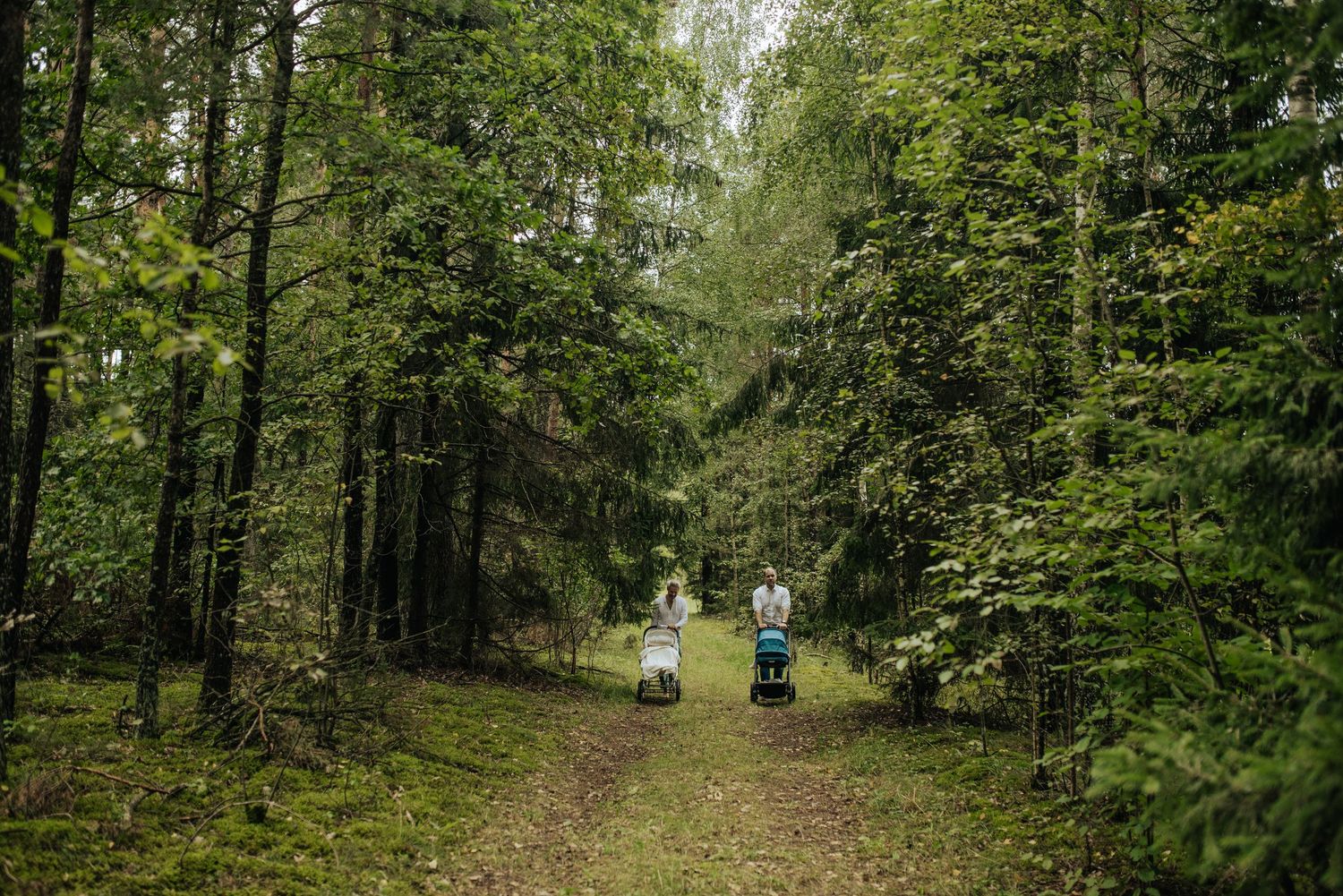 Two parents push strollers along a lush green forest path surrounded by tall trees.