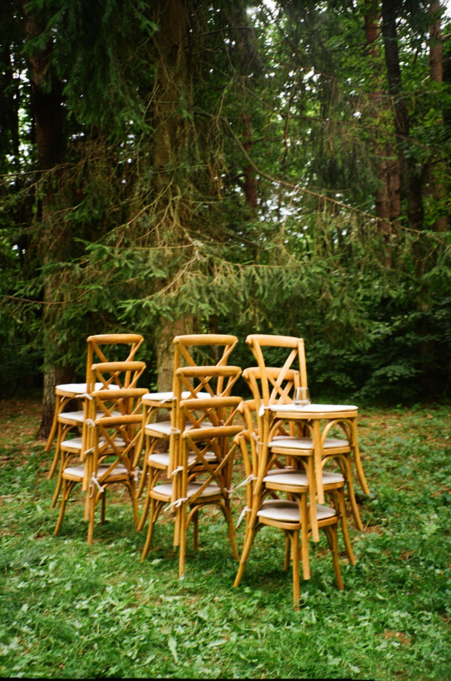 Wooden cross-back chairs stacked in groups on green grass surrounded by tall evergreen trees outdoors.