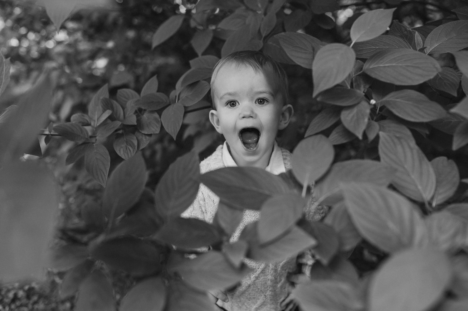 Black and white photo of a happy toddler peeking through lush green leaves with mouth wide open in joy.