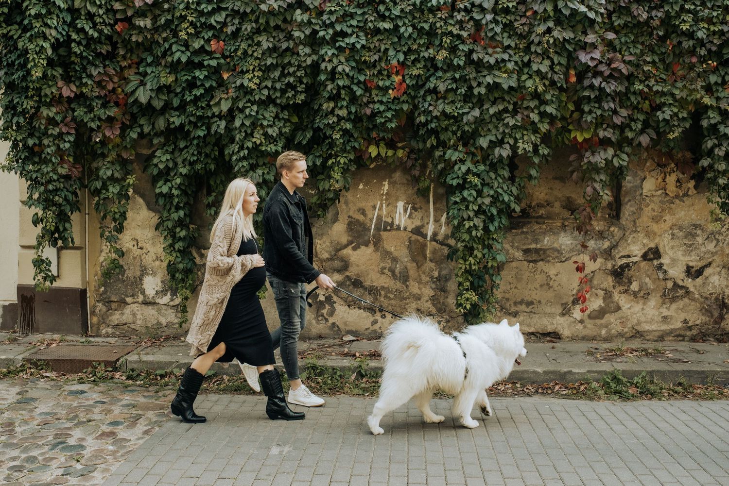 Couple walking with dog along ivy-covered stone wall pathway.