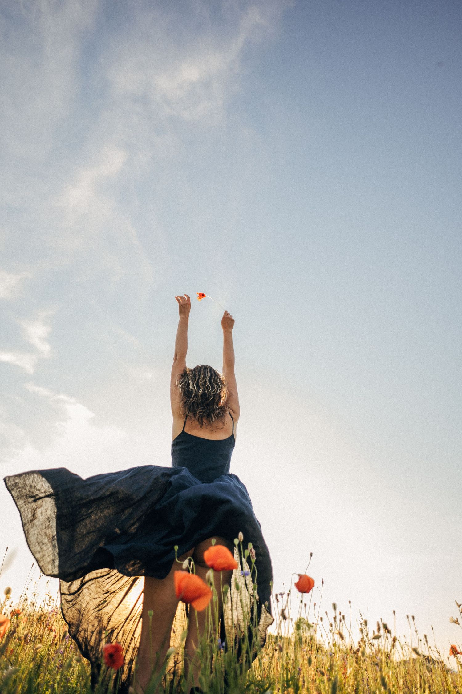 Dramatic black dress billows in the wind among red poppies in a summer field.