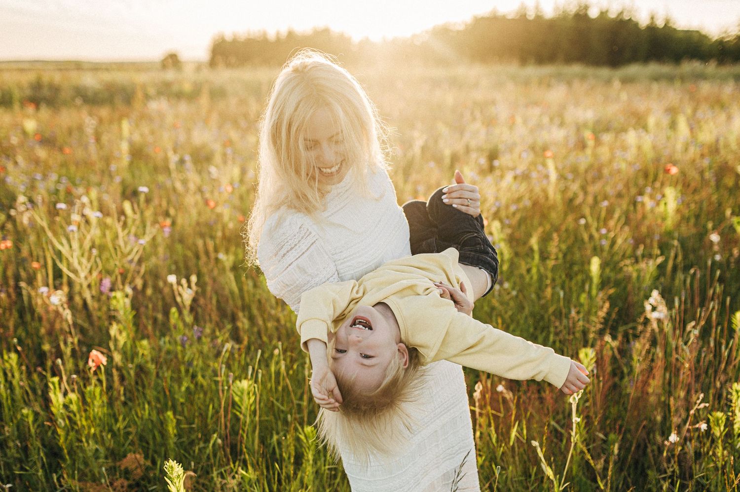 Sequence of joyful moments captured in a sunlit meadow at golden hour.
