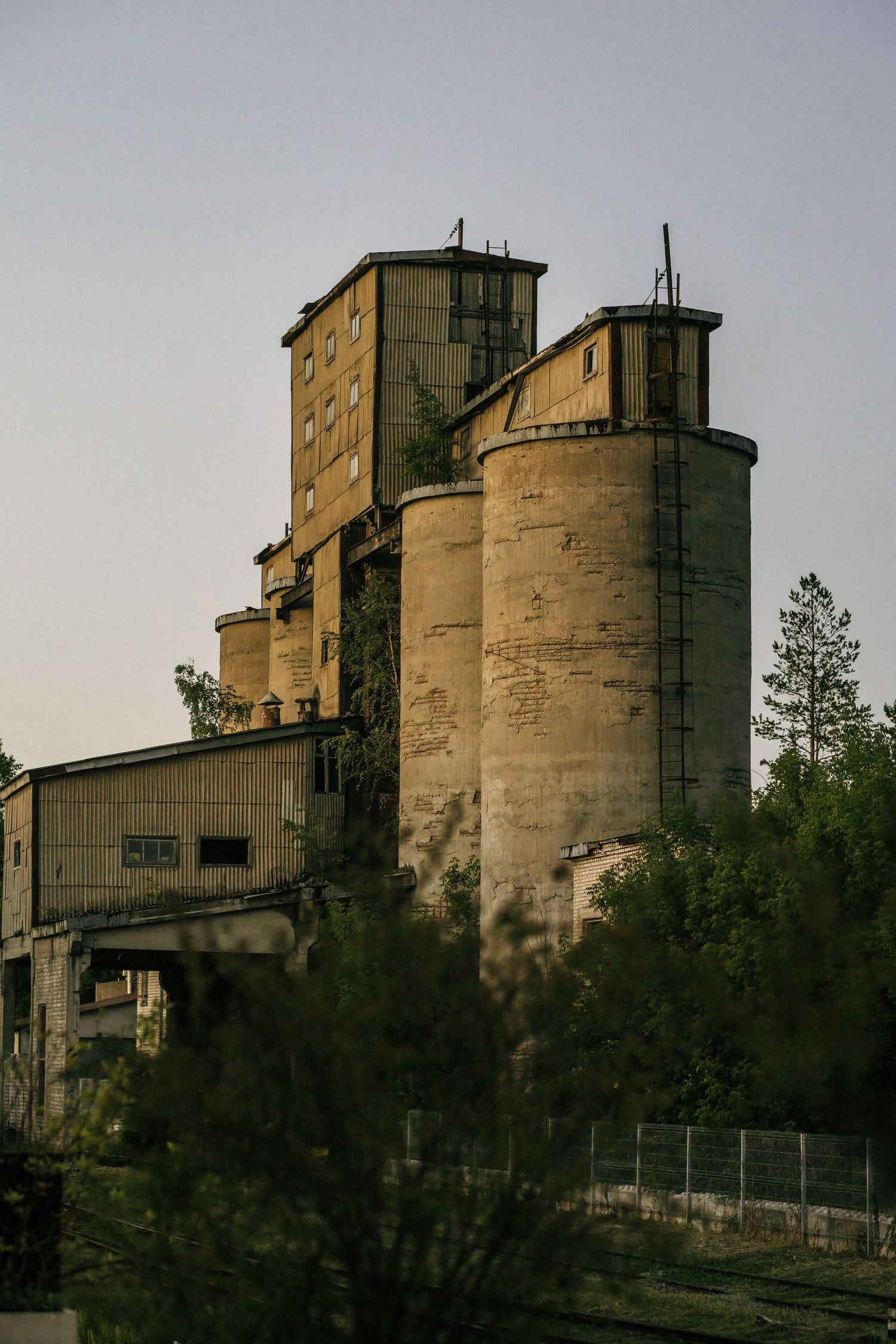 Abandoned industrial grain silos and factory building with weathered concrete walls surrounded by overgrown trees at dusk.