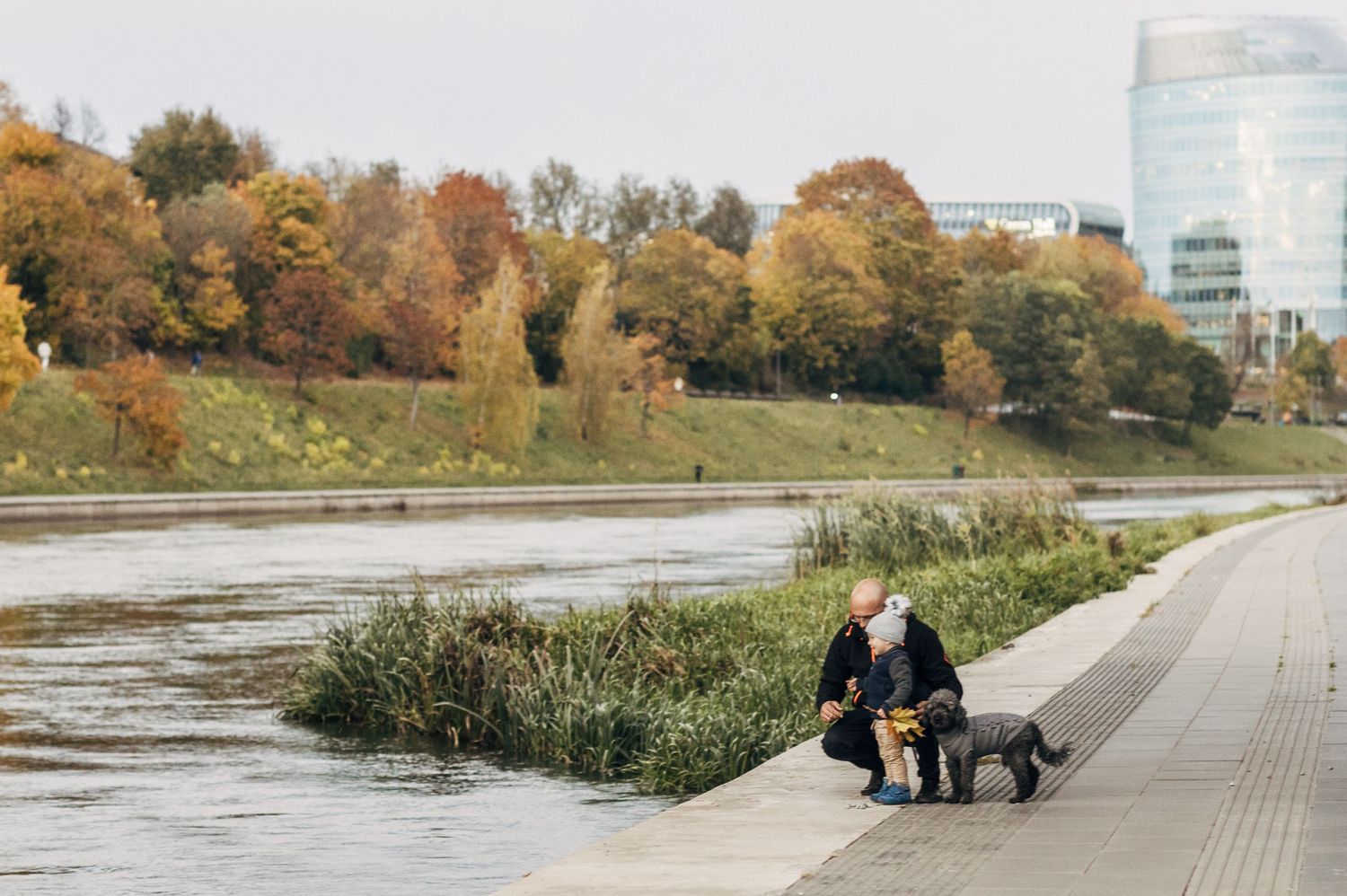 People walking along a riverside path with autumn trees and buildings in the background.