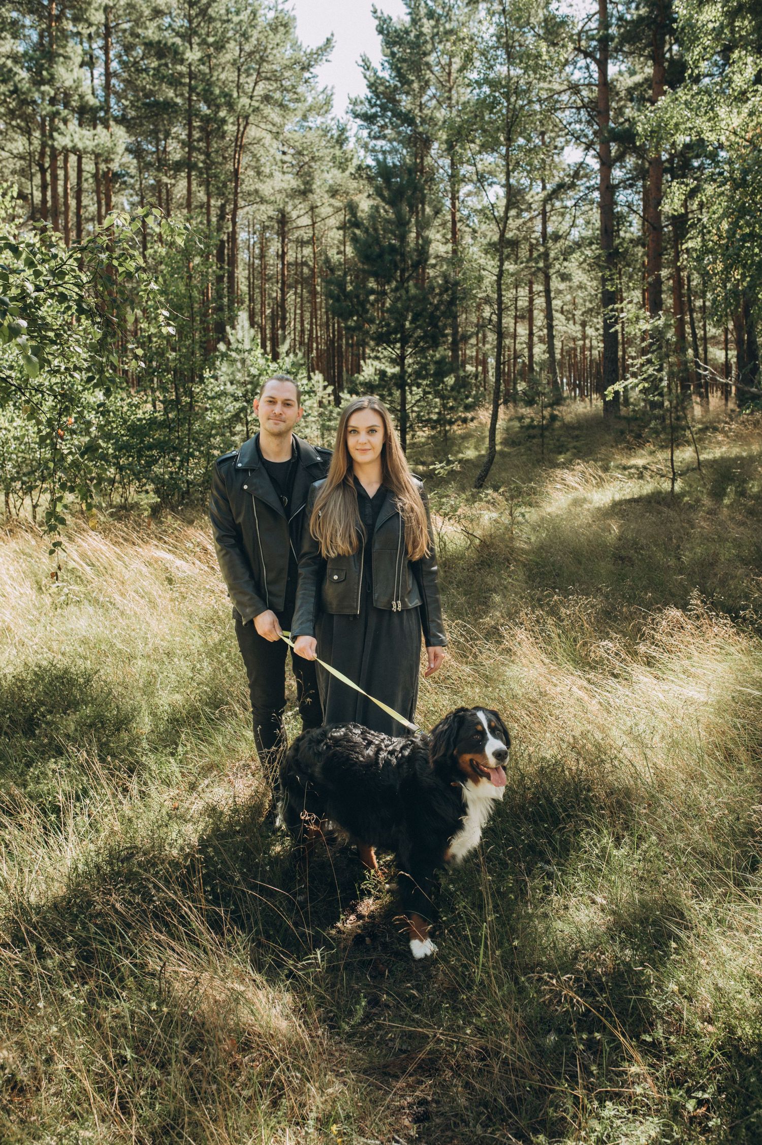 Walking through a sunlit pine forest with a black and white dog.