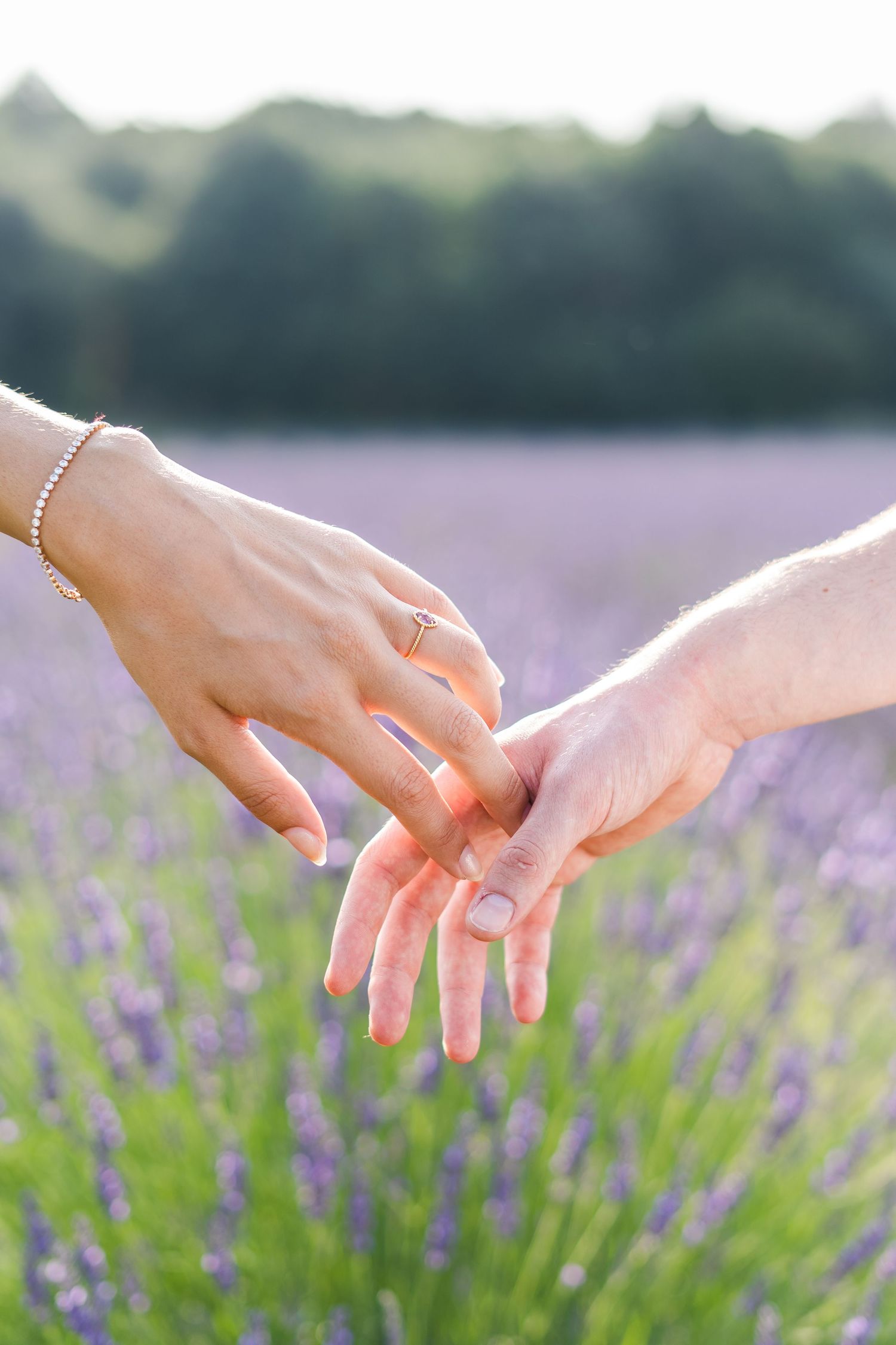 Photo couple dans un champ de lavande