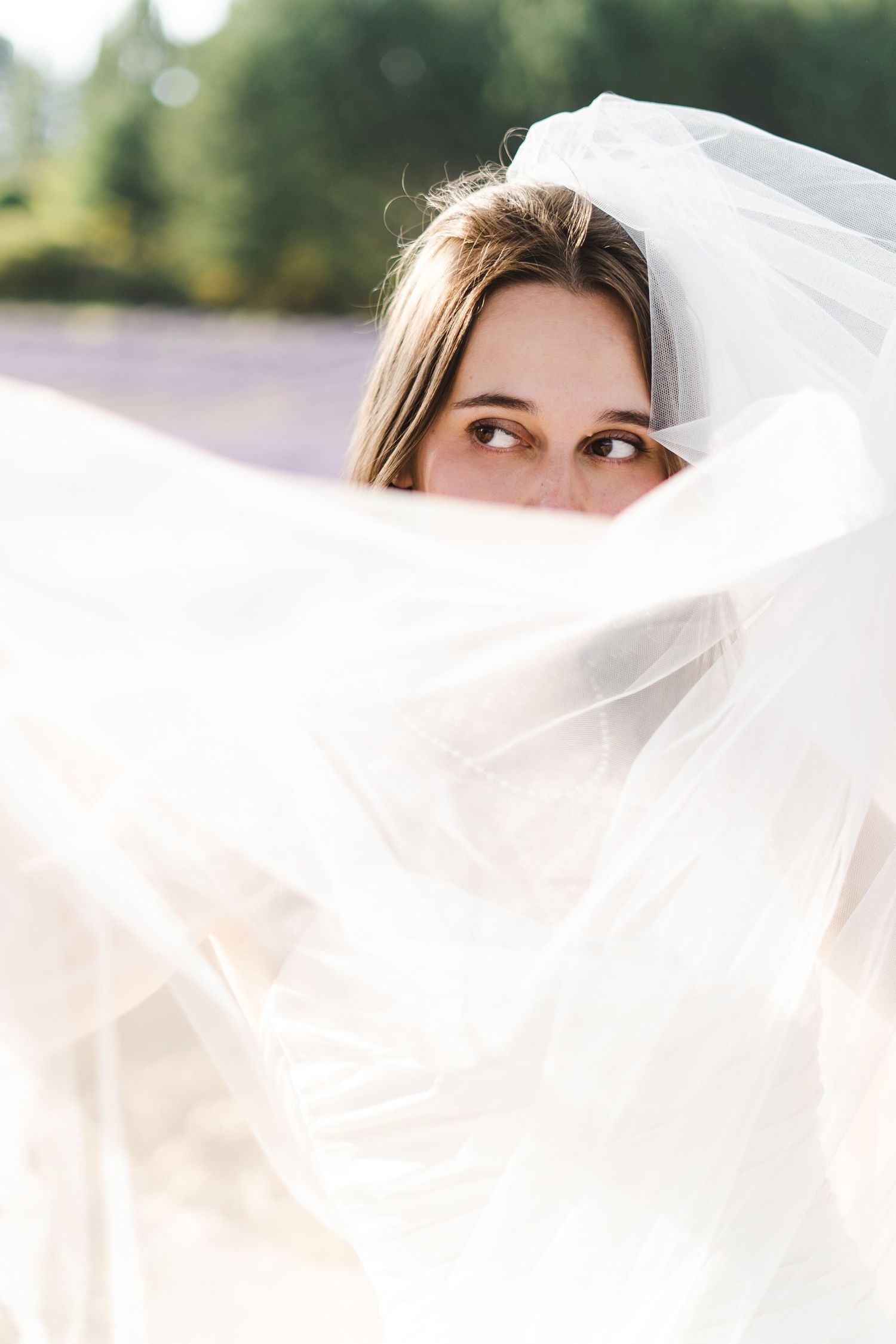 portrait of the bride in the lavender field. wedding in France. portrait de la mariée dans un champ de lavande.