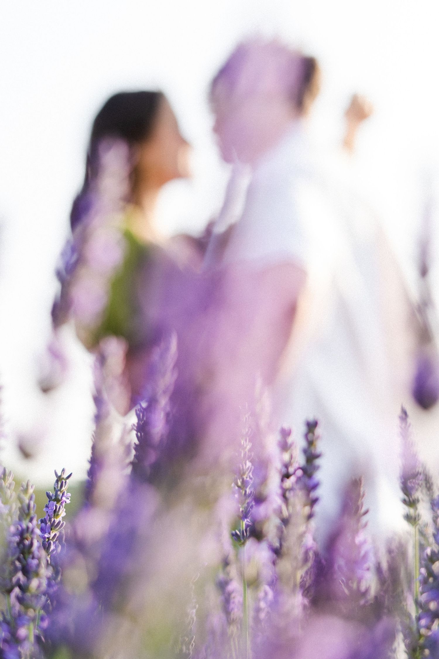 Photo couple dans un champs de lavande