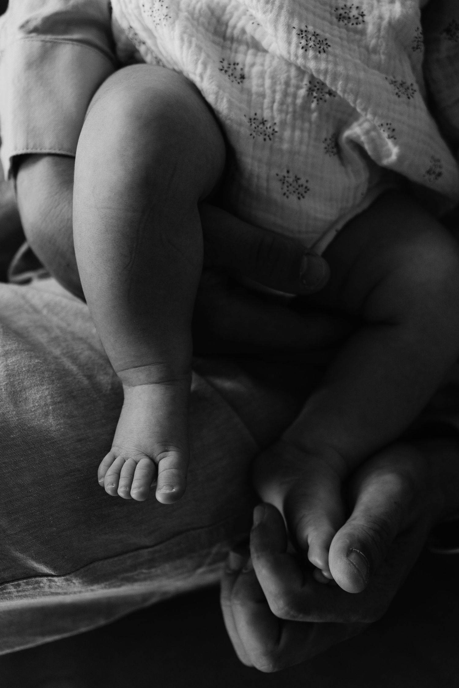 Photo d'une séance famille, séance naissance