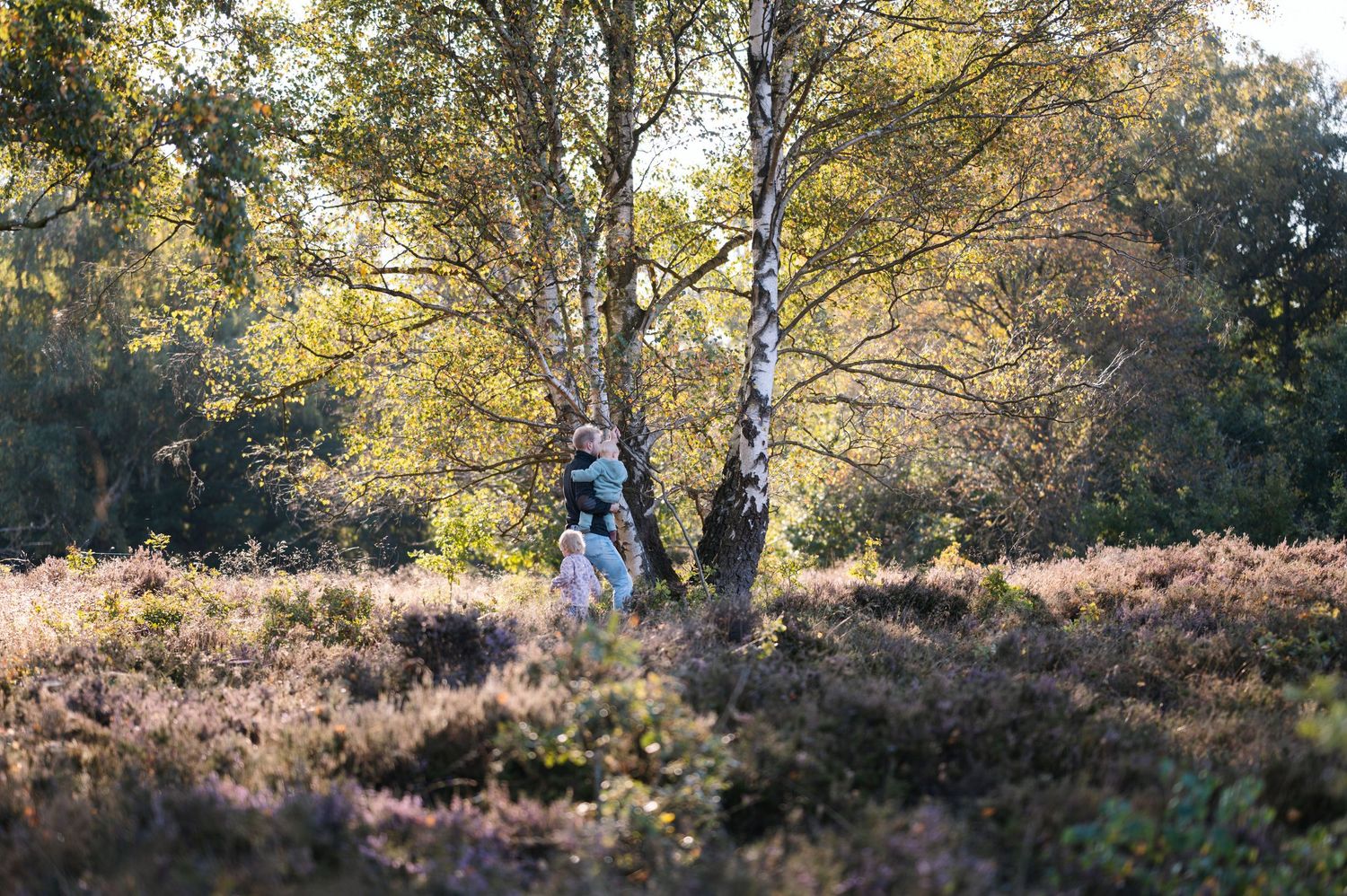 Two people standing beneath a birch tree in a sunlit heathland landscape with purple heather and golden autumn foliage.