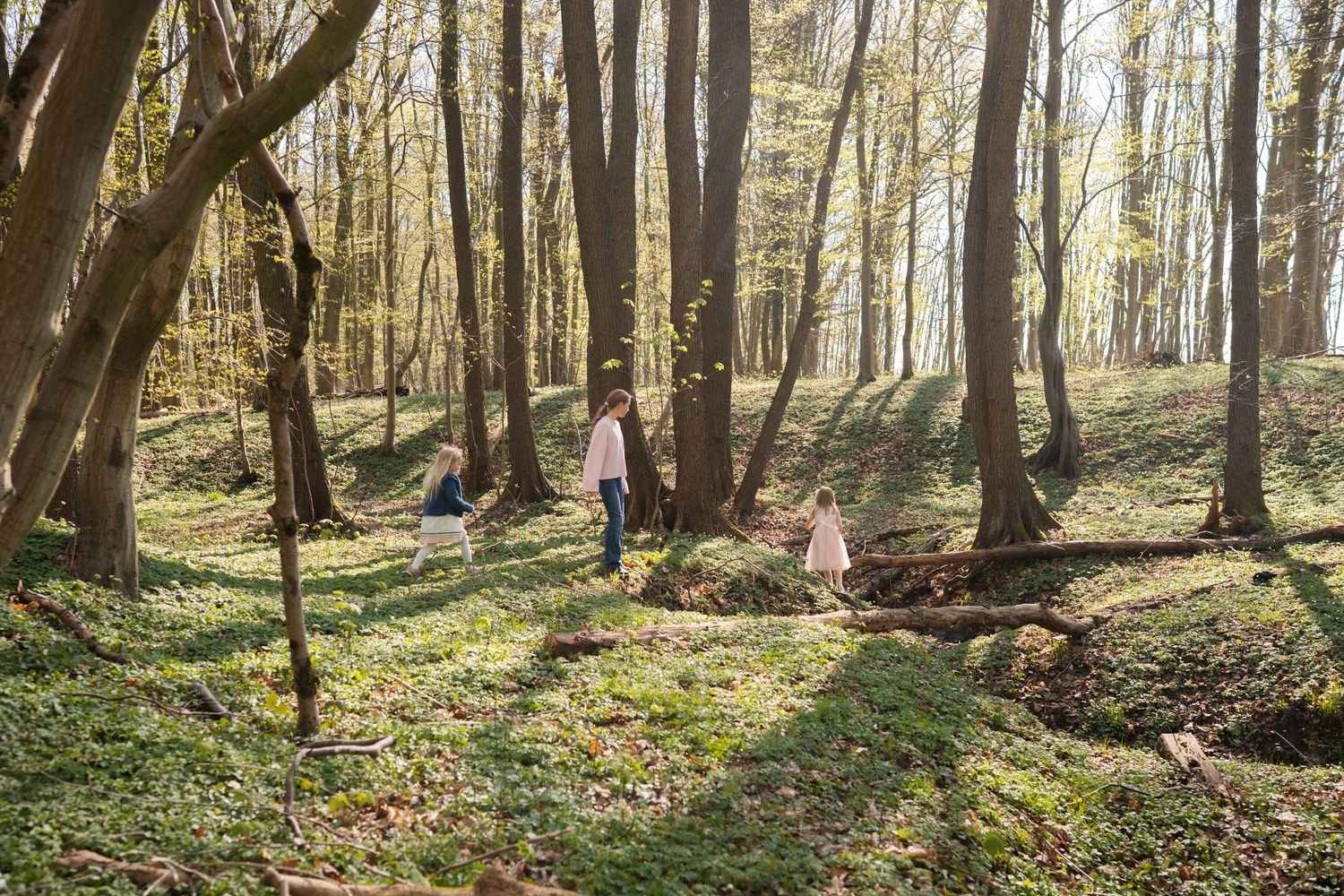 Family walking through a sunlit forest with green ground cover and tall trees in spring.