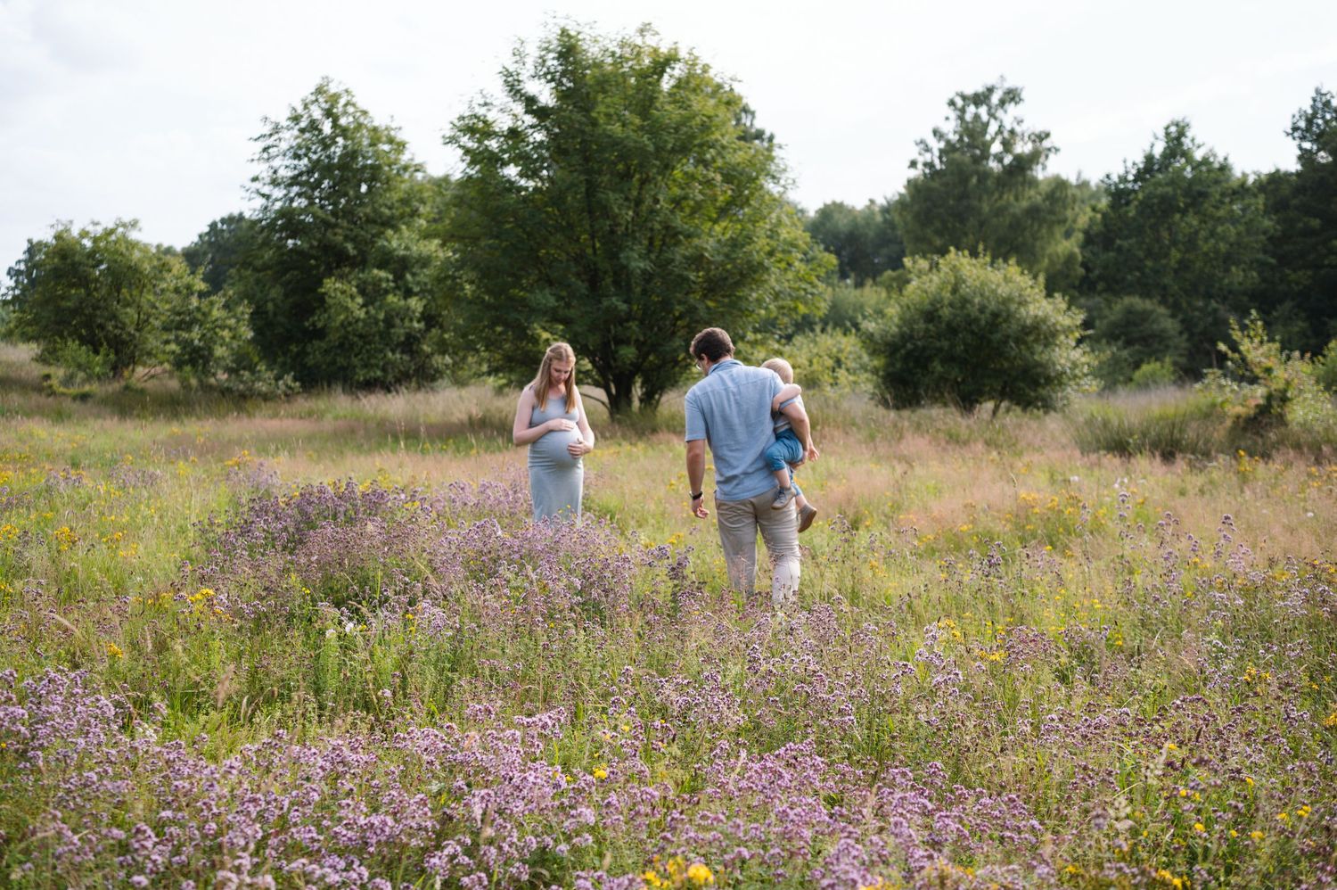 People walk through a vibrant wildflower meadow filled with purple blooms on a sunny summer day.