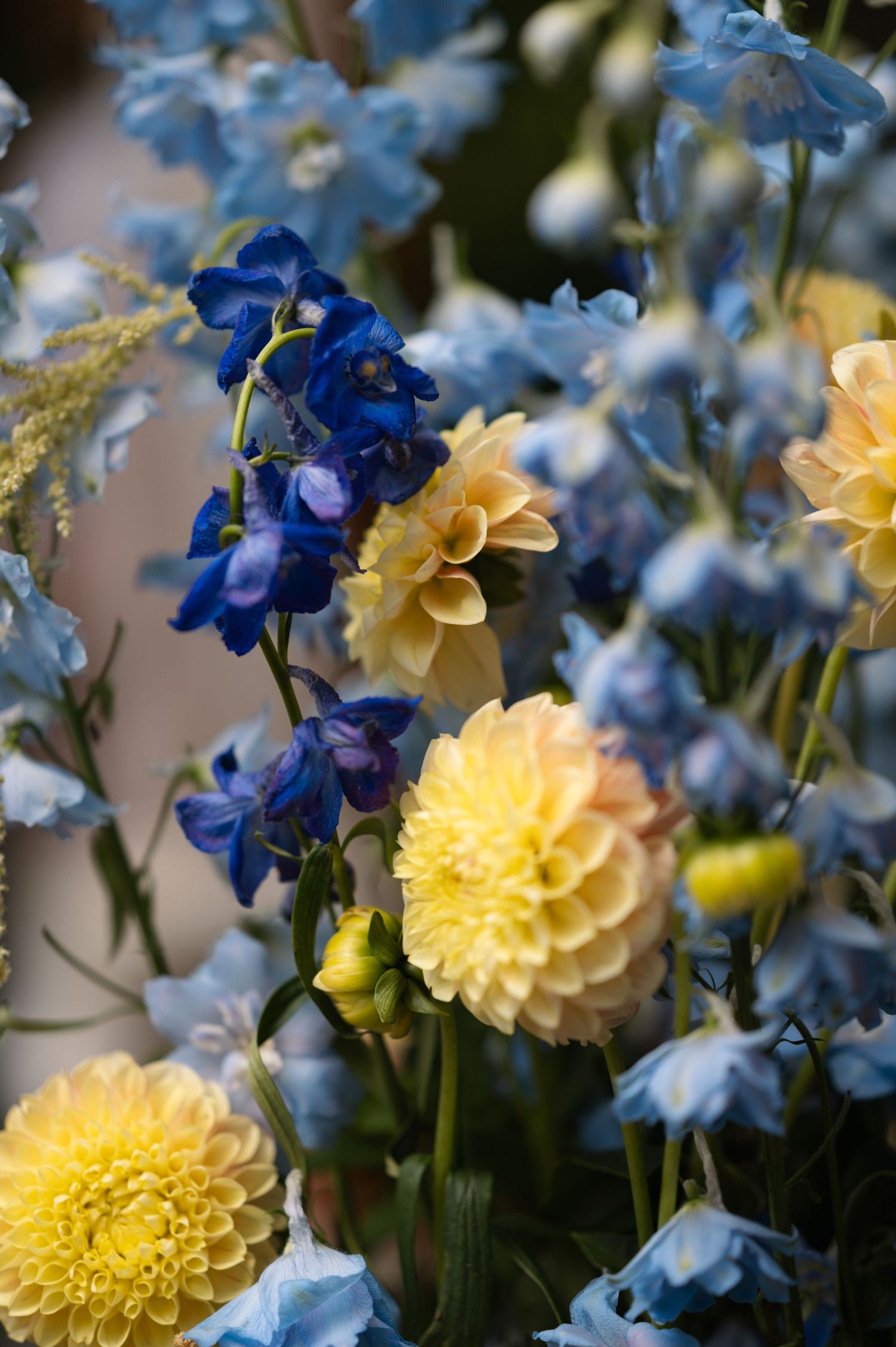 Vibrant bouquet of yellow dahlias and blue delphiniums with soft light blue flowers in a stunning floral arrangement.