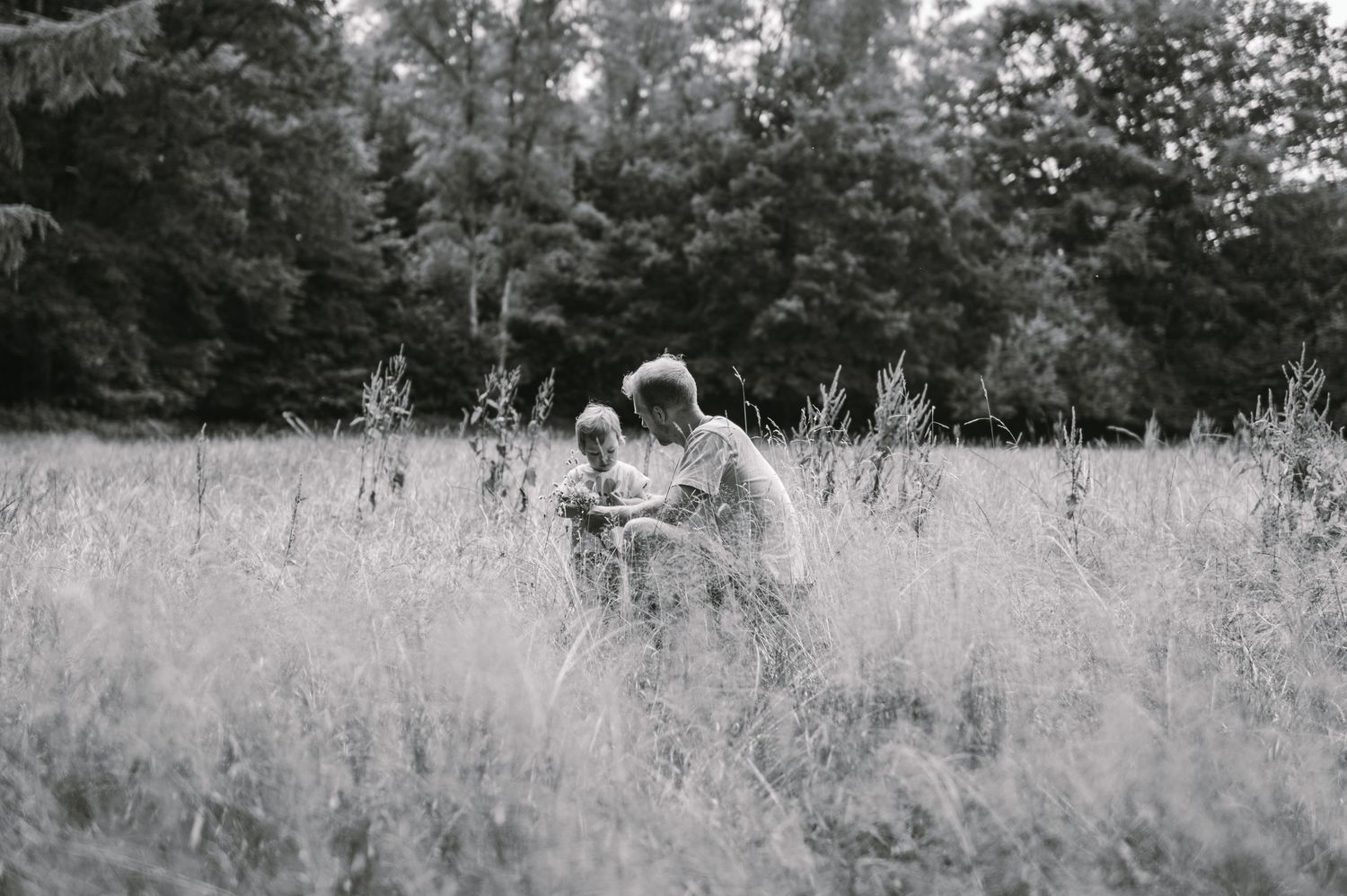 A series of black and white landscape photographs showing grassy fields and trees in a rural setting.