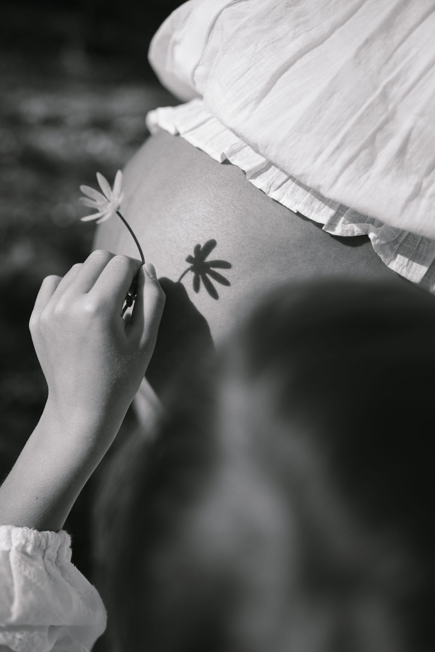 Black and white photo of a child holding a daisy flower against a pregnant woman's bare belly with a shadow.