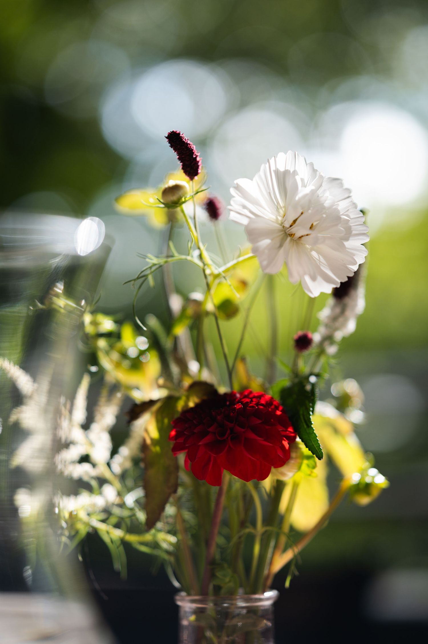 Soft focus wildflowers with white and burgundy petals against blurred green background create dreamy garden scene.